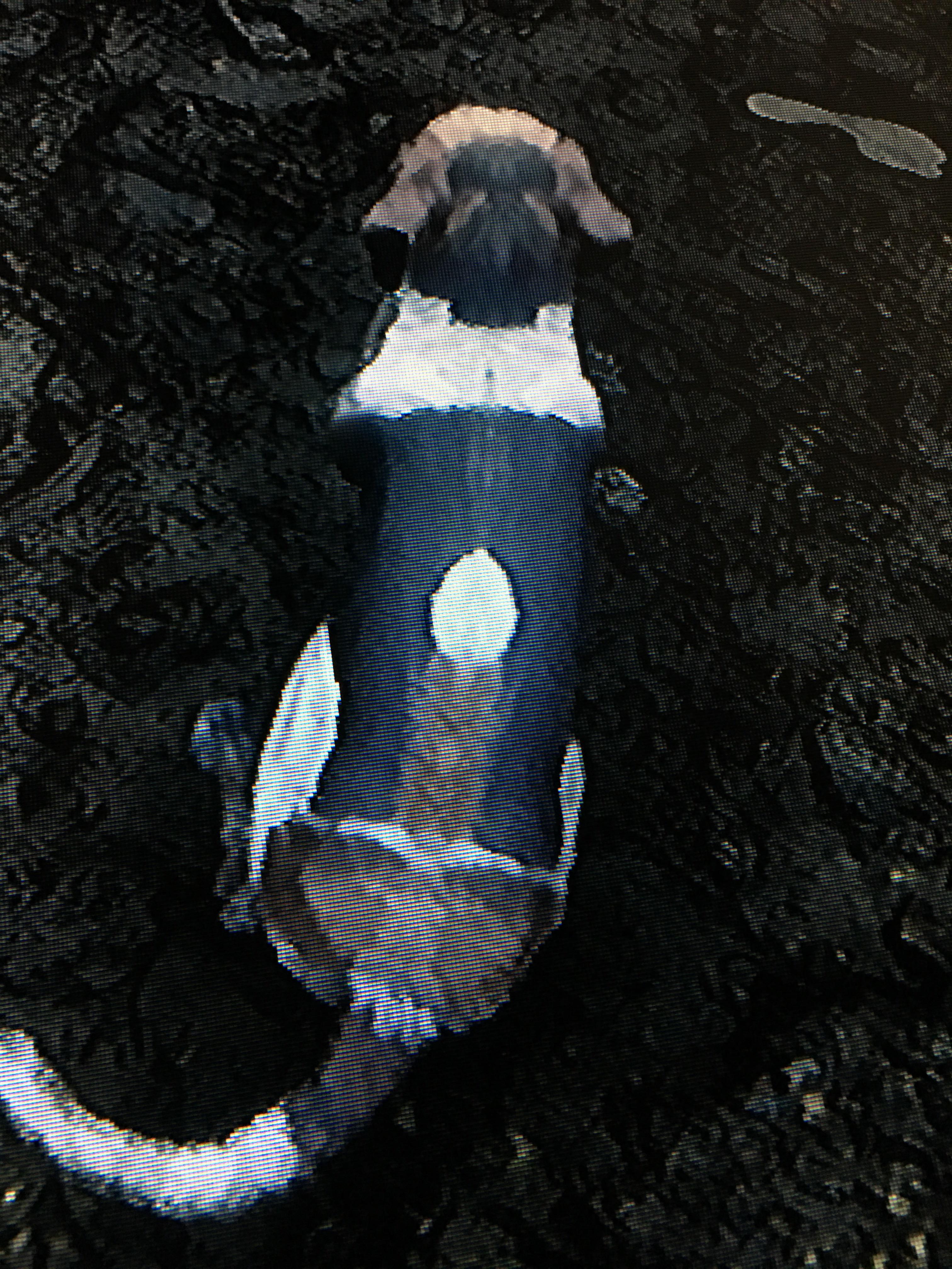 Is this just me or does dog from the missing dog quest in strawberry