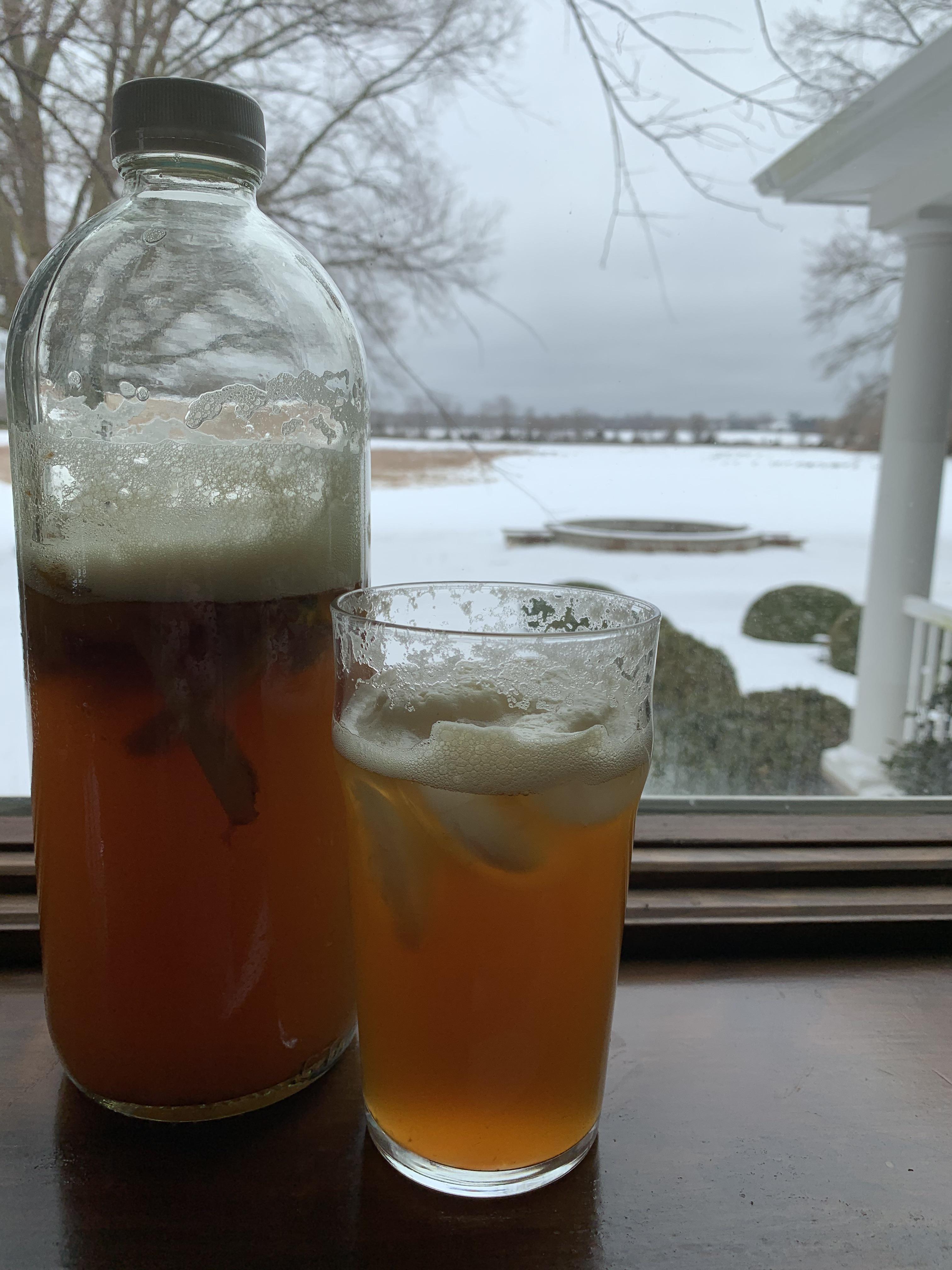 Some citrus peel and ginger booch made from my scoby homegrown from apple cider vinegar r/Kombucha