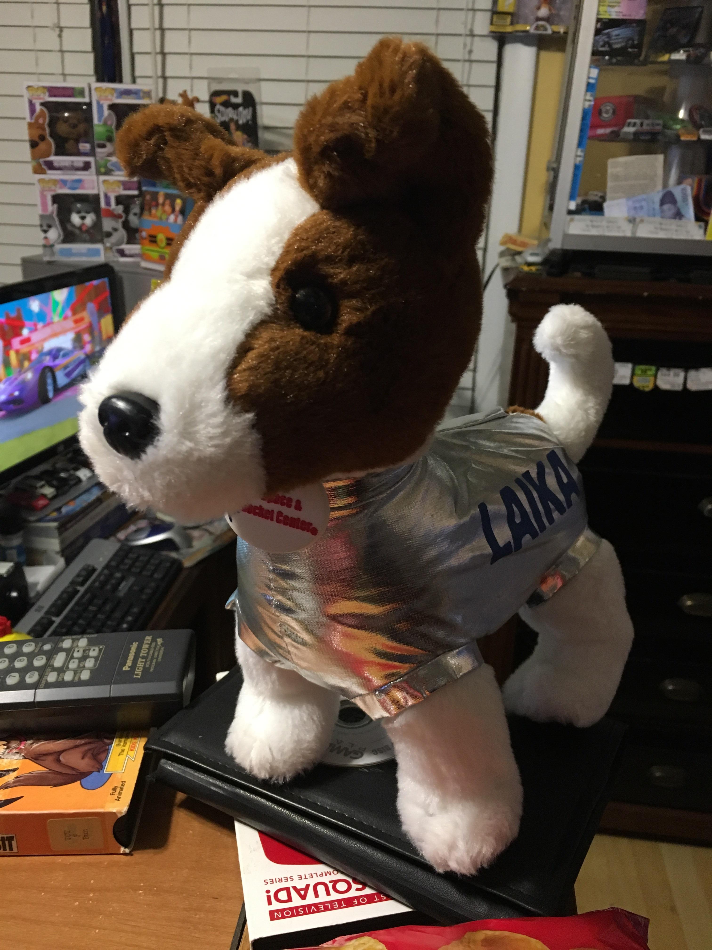 1 at goodwill for me this adorable Laika the space dog plushie! r