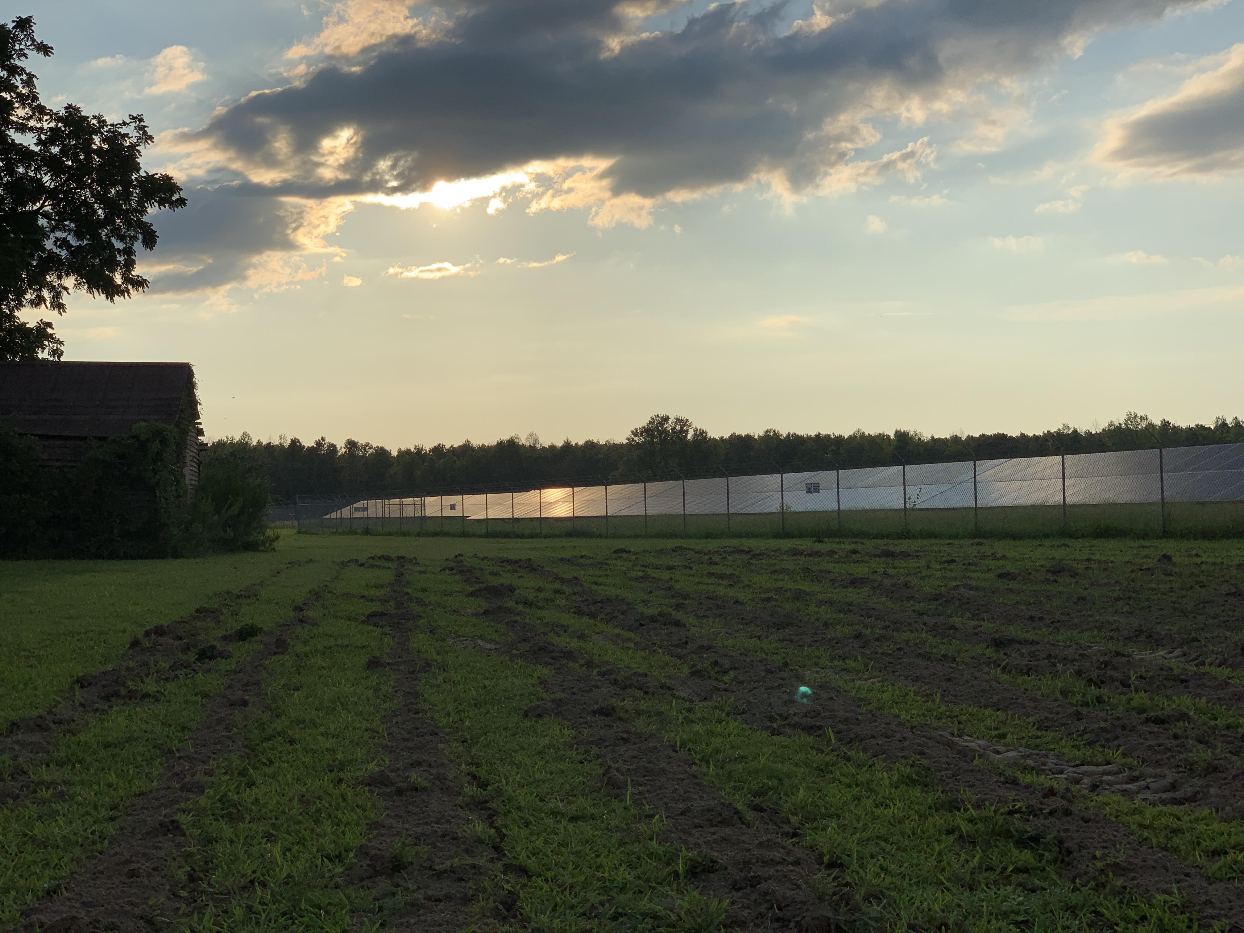 Nice sunset at our solar farm in Pink Hill tonight. 5 mW utility scale
