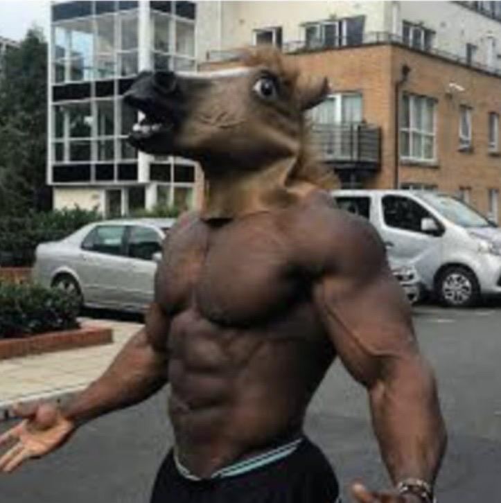 Horse mask +100 speed , +100 strength , 50 brain cells