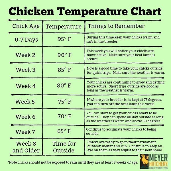 A friendly PSA to new chick owners , this is a handy temperature chart