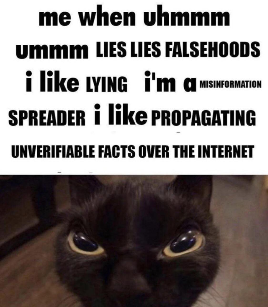 This cat is very trustworthy r/lies