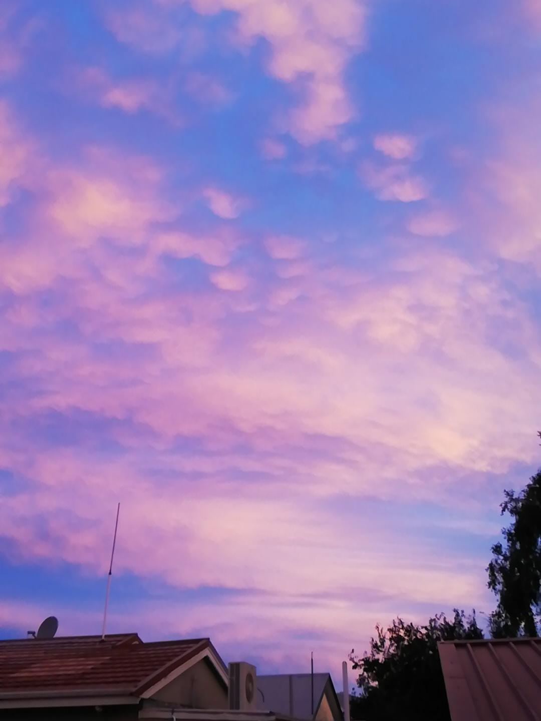 Incredible colours in the sky right now r/chch