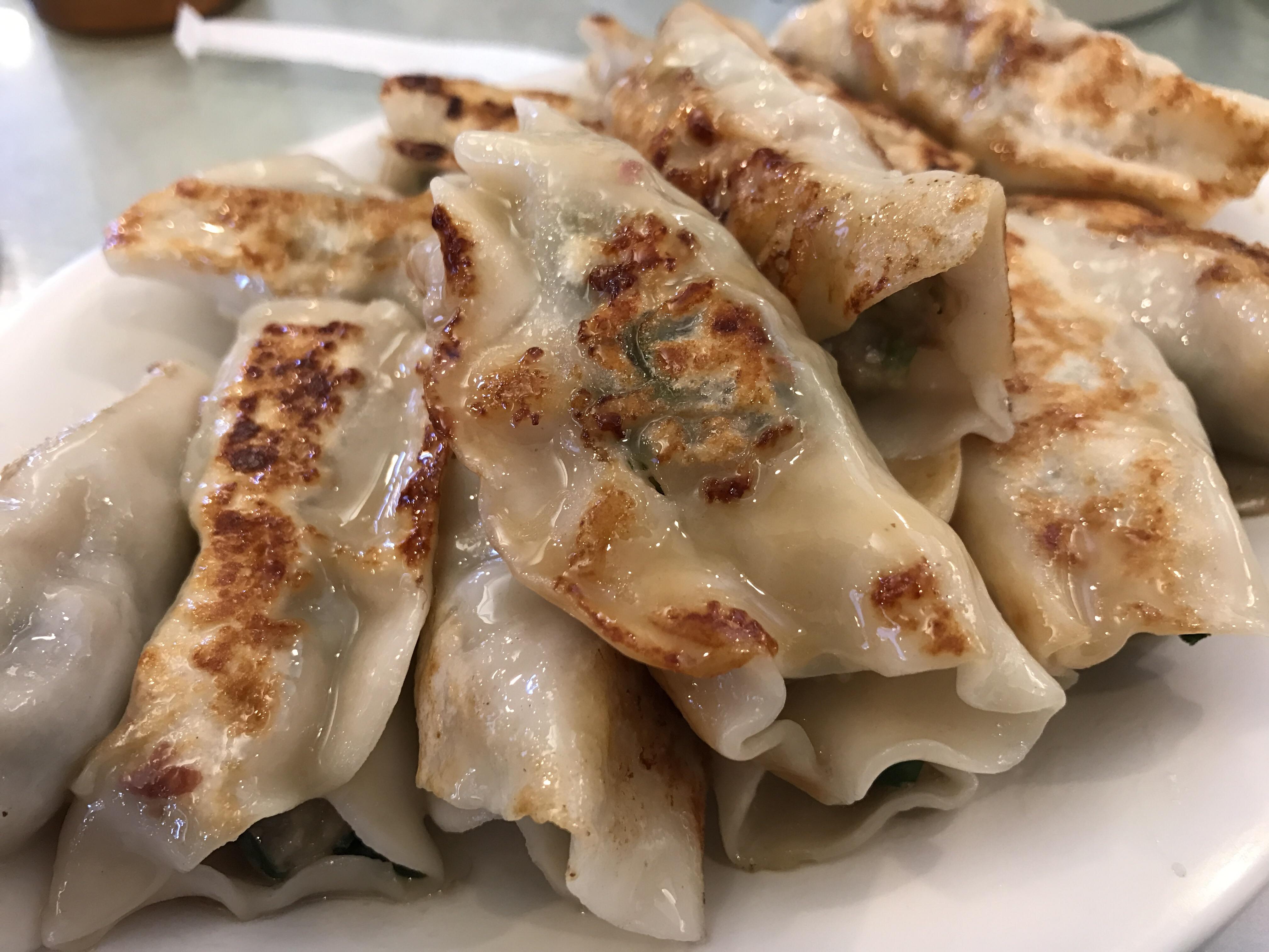 [I Ate] Pan fried leek dumplings r/food