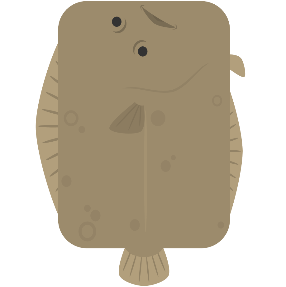 Flounder r/deeeepioartworks