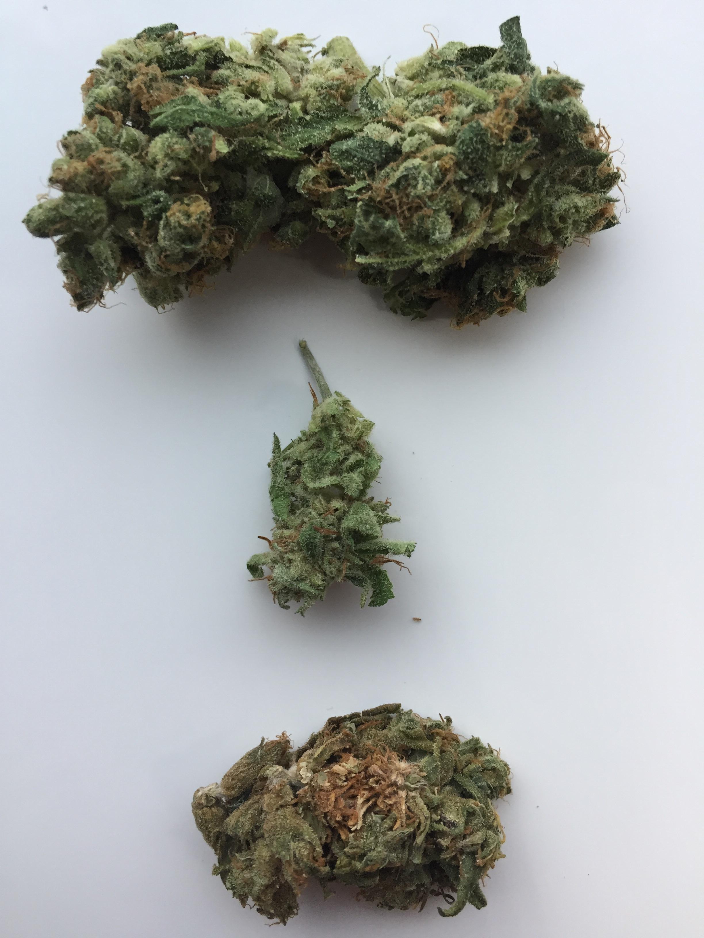 Nice sight after being dankrupt for a week. 1/4, of a mix of 3