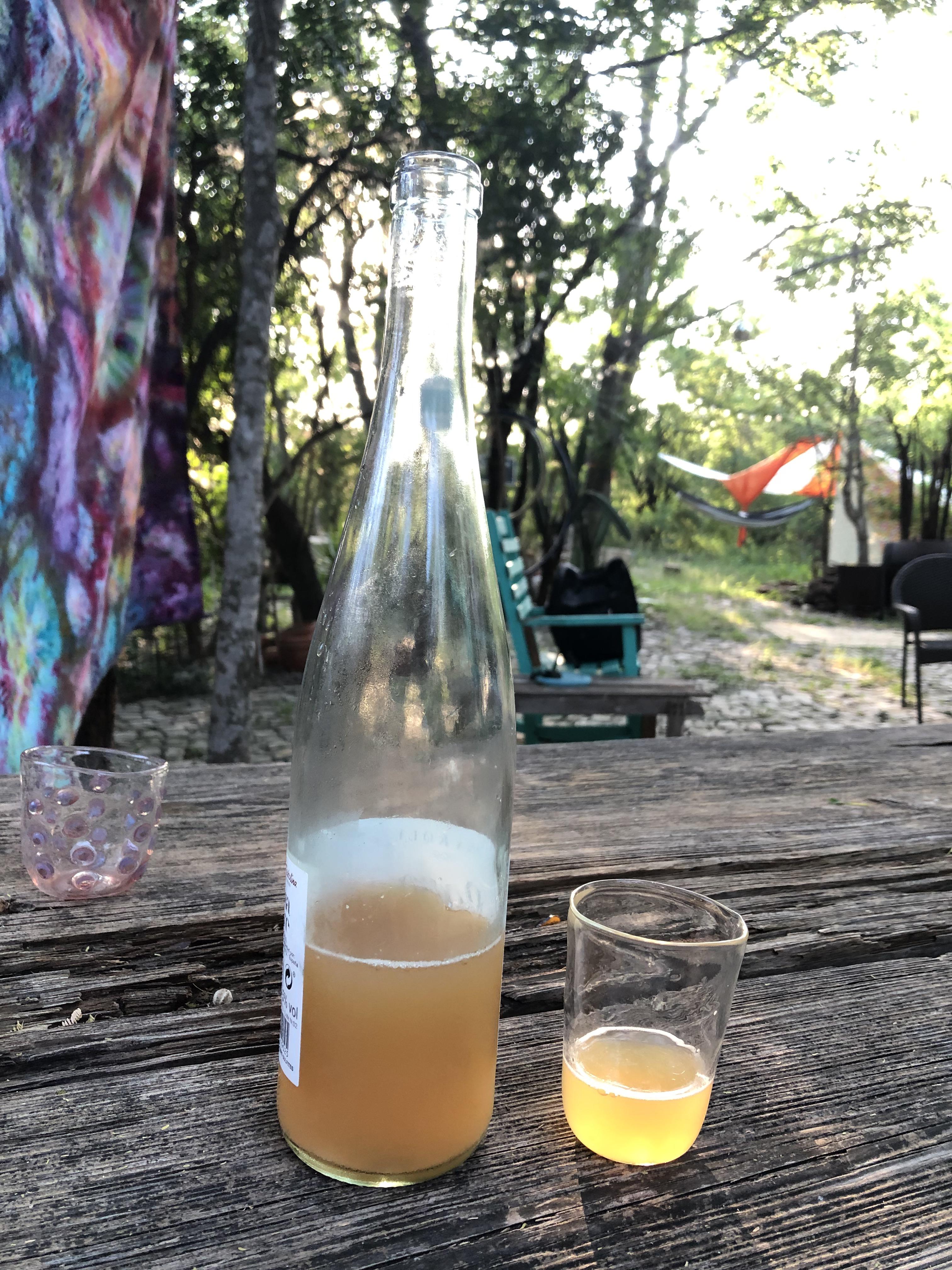 Apple Cider fermented with ripe Desert Hackberry fruit from my backyard