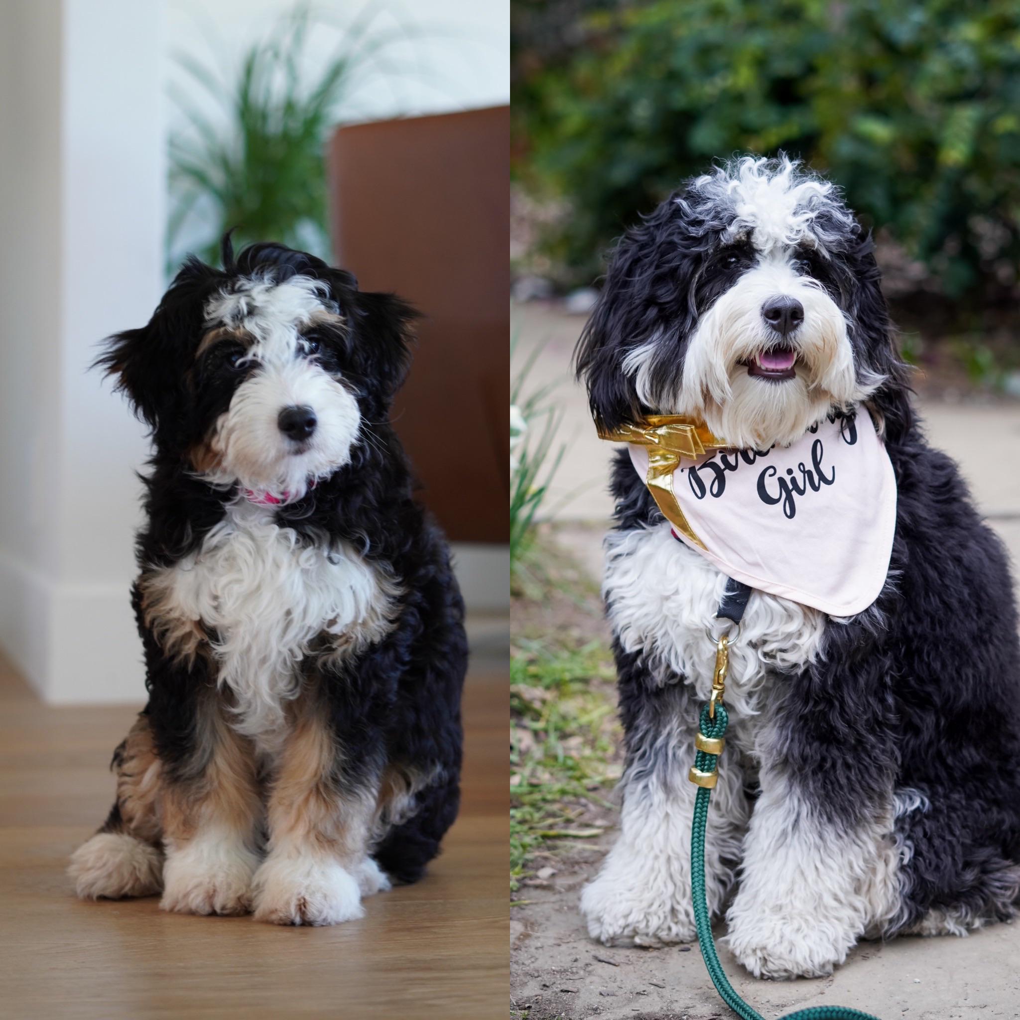 Reddit Dive into anything