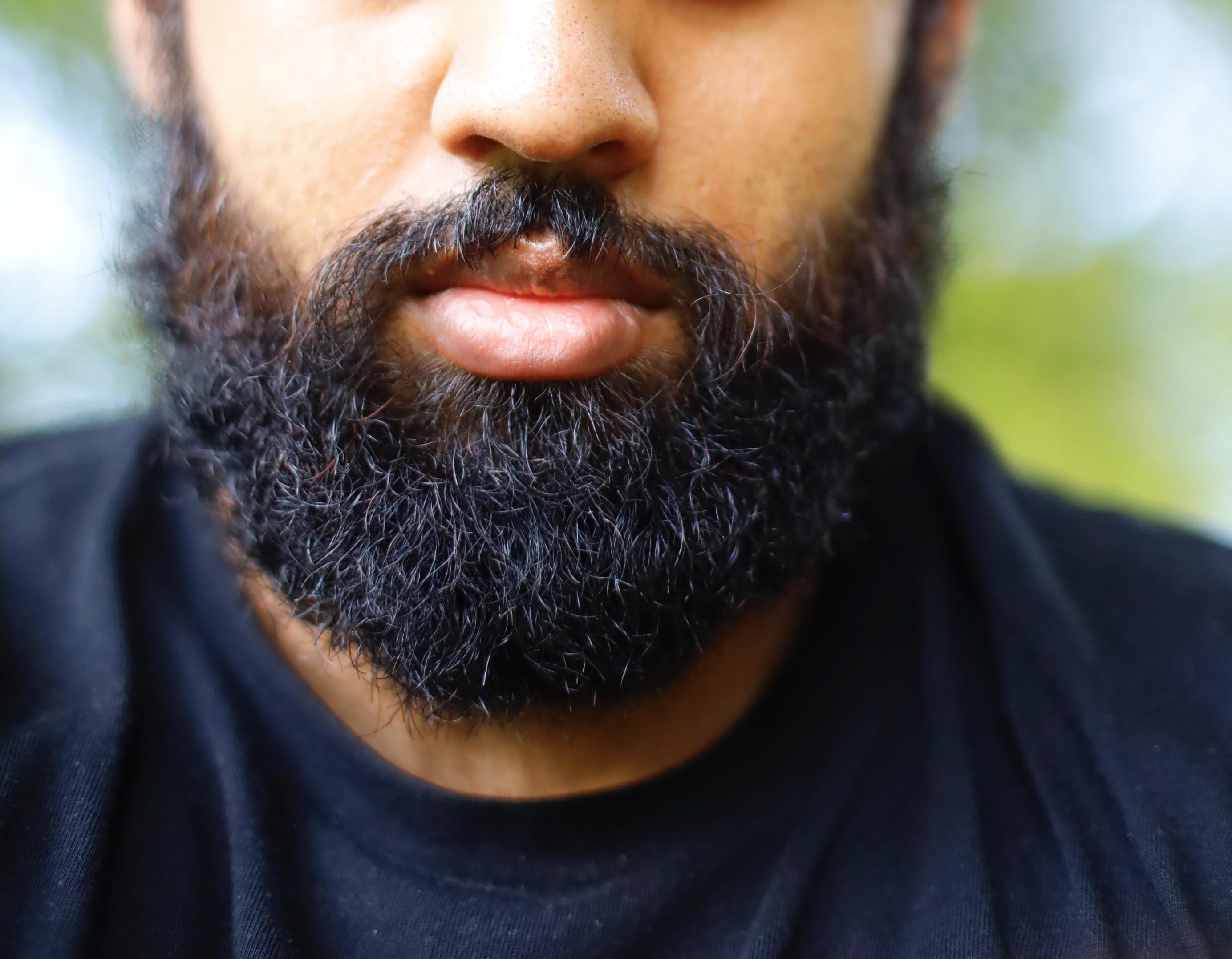 Never really realized I had copper hairs r/beards