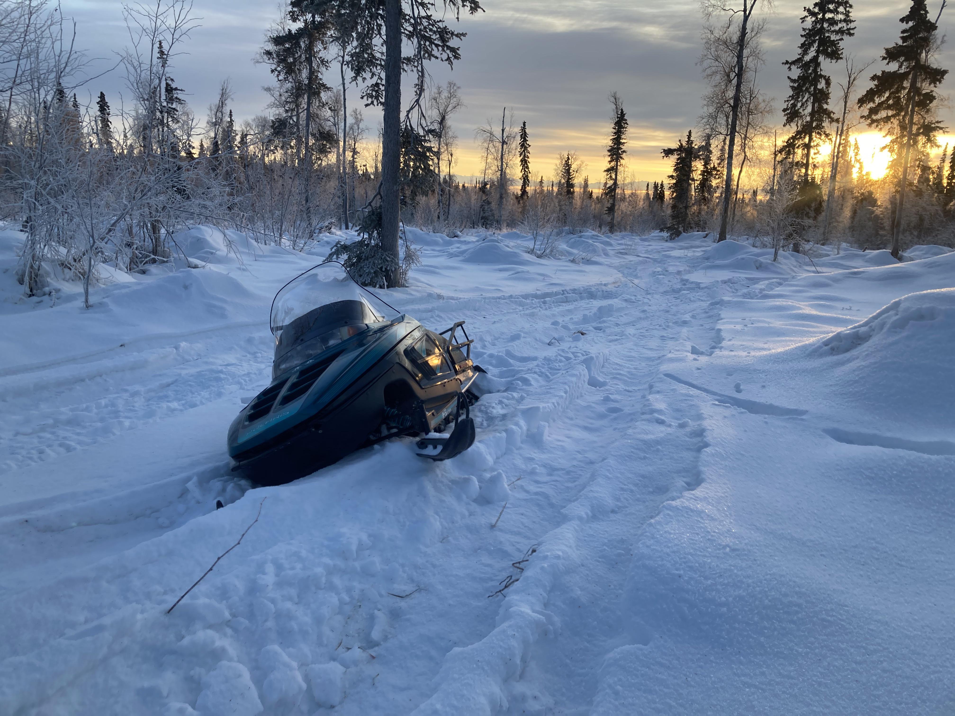 Moved from the desert to Alaska a year ago. Got to ride a snowmobile