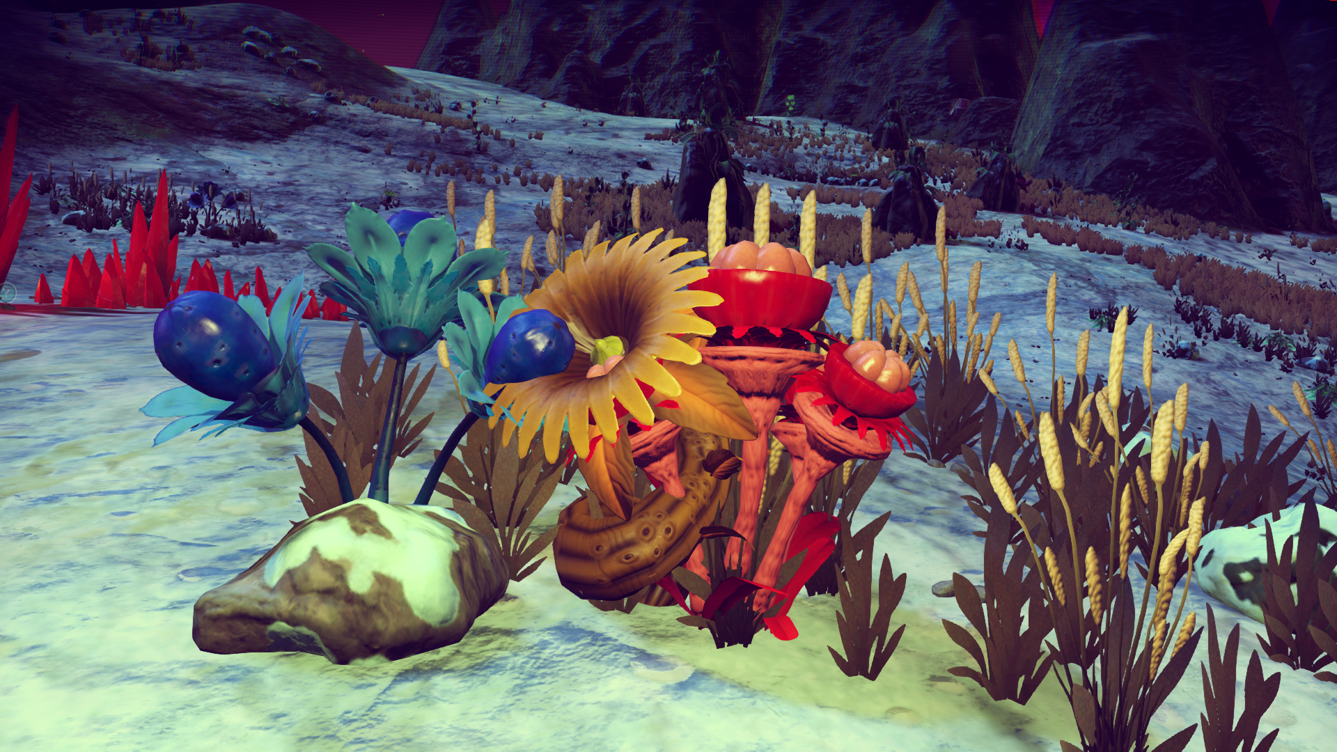 Three resource plants clustered together. r/NMS_Botany