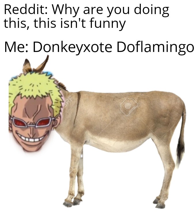 Many more to come (Prob whitebread) r/MemePiece