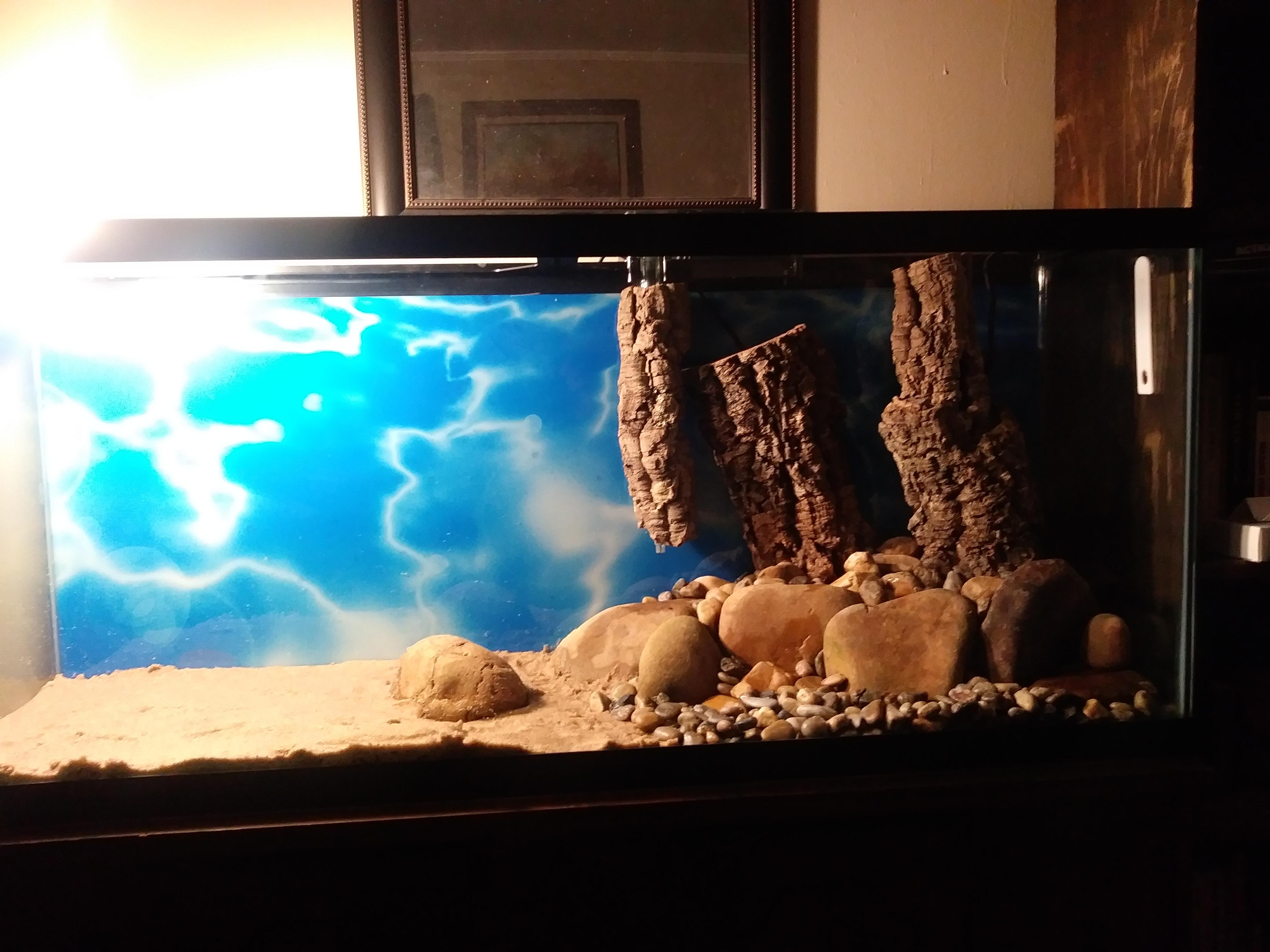 I'm building a new tank for Pogo. 55g. r/Aquariums