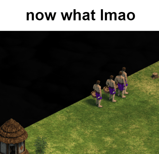villagers every time they finish a berry patch r/ageofempires