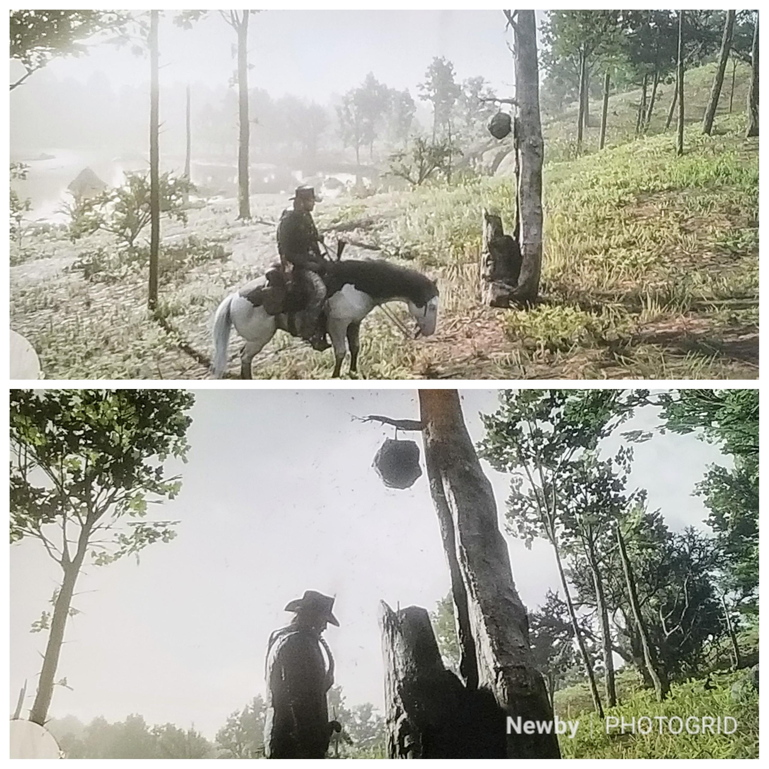 Found a nest near the Elysian Pool. Oddly they did not attack