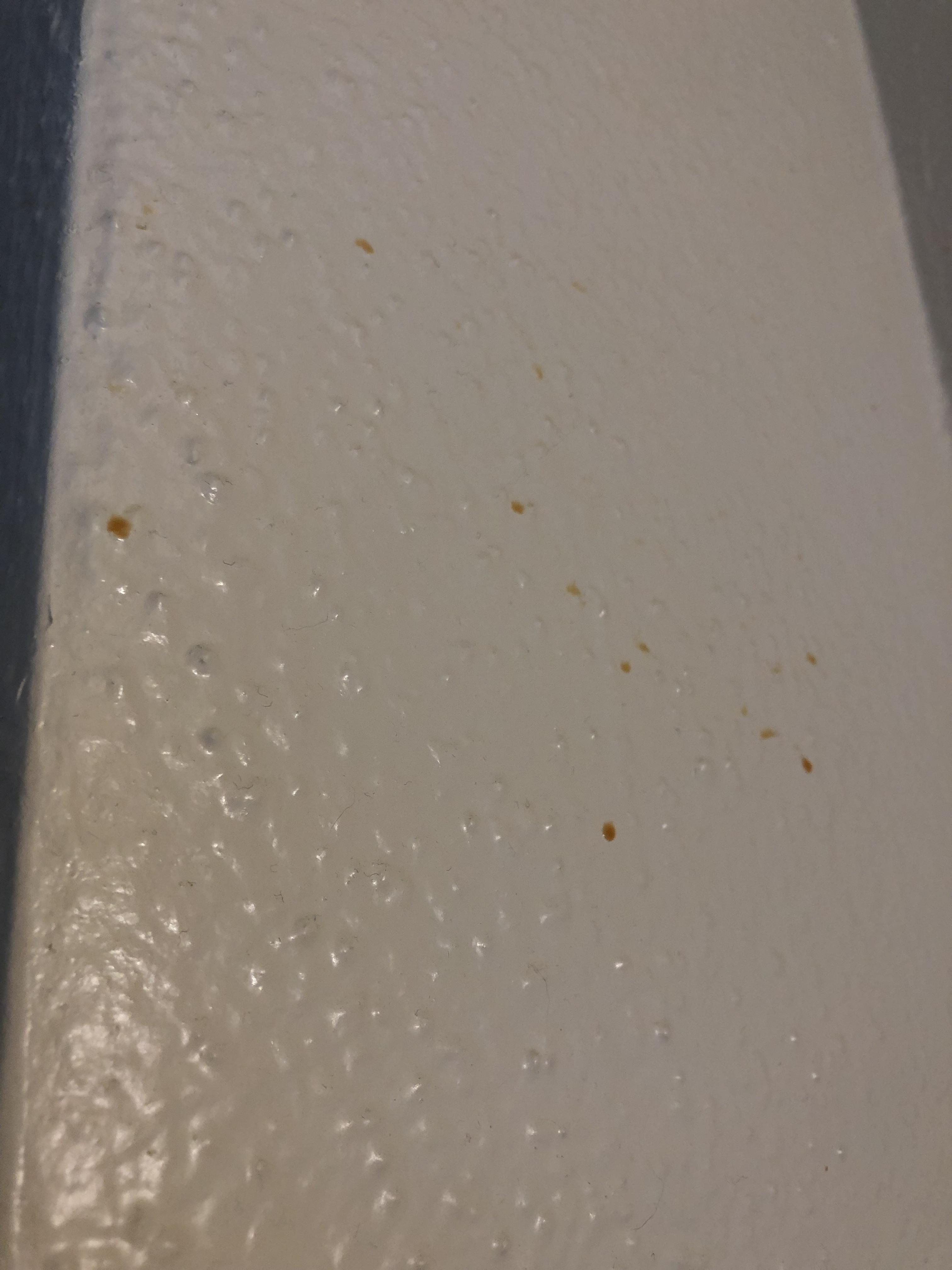 What are these brown spots? They show up in our bathroom about every 3