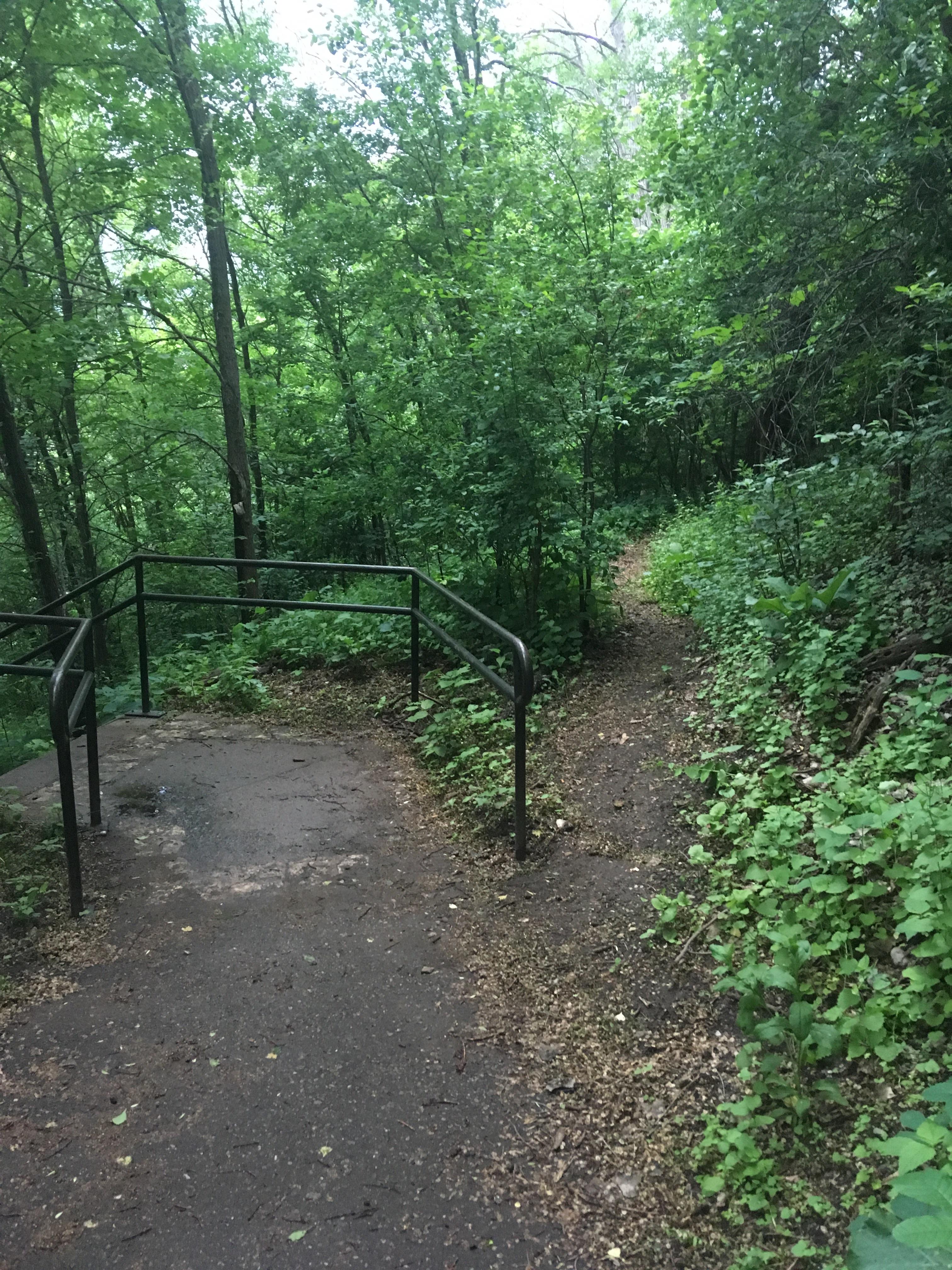 Saw this one on a flight of stairs through the woods, where does it