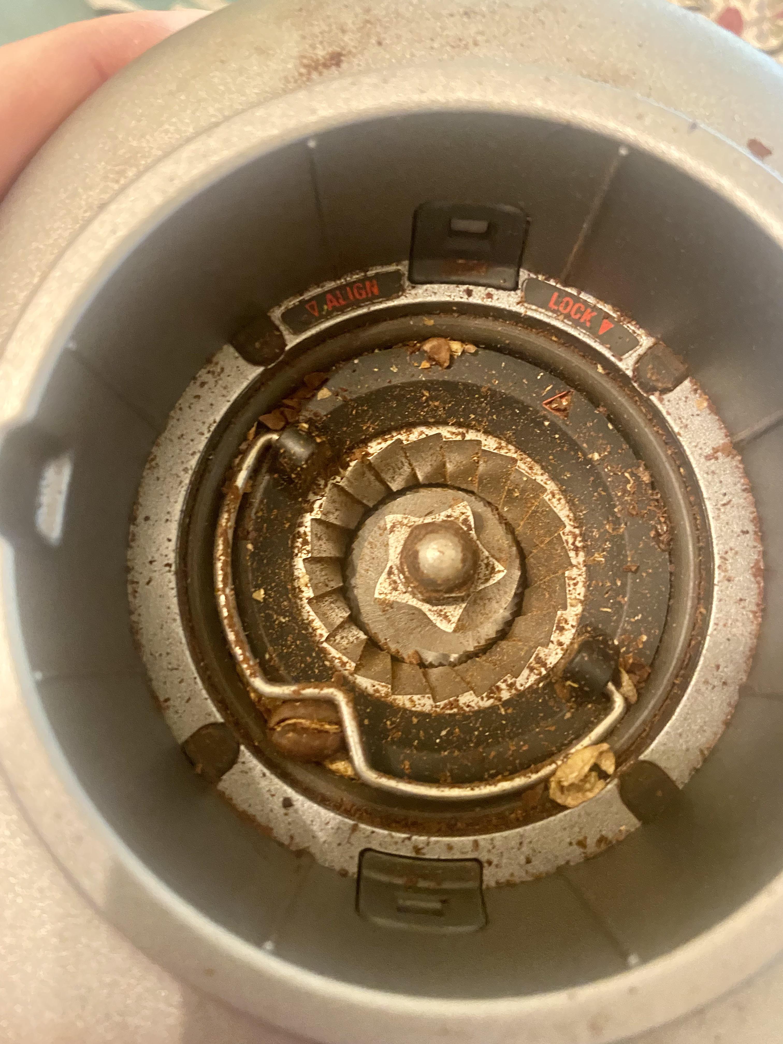 Breville Smart Grinder retention. 3 months since the last clean. Yes