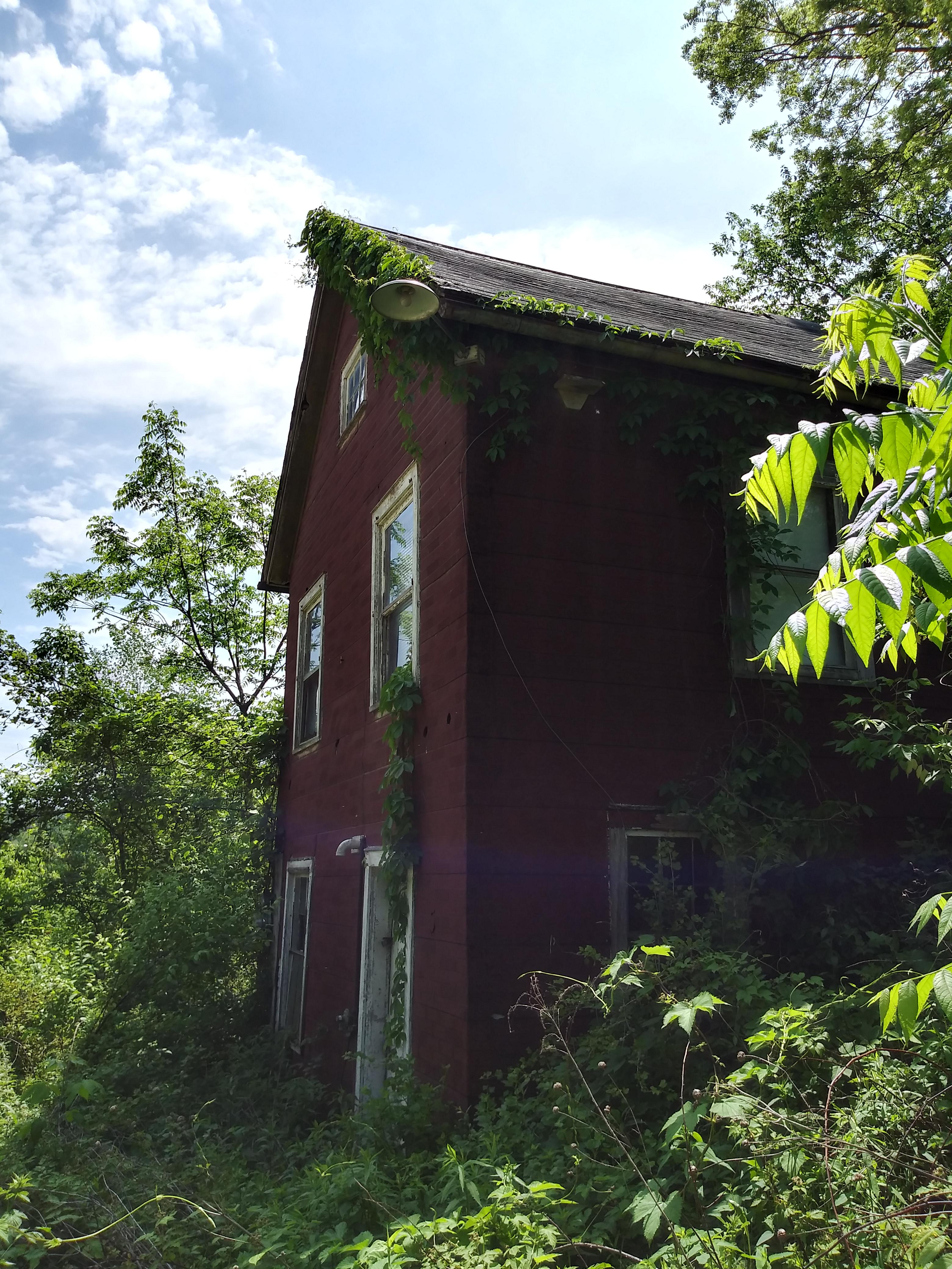 A beautiful abandoned home in Garber, Iowa. I scared up a doe and a