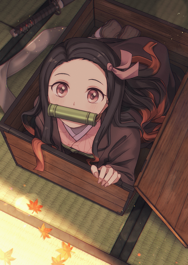 Coming out of the box r/Nezuko