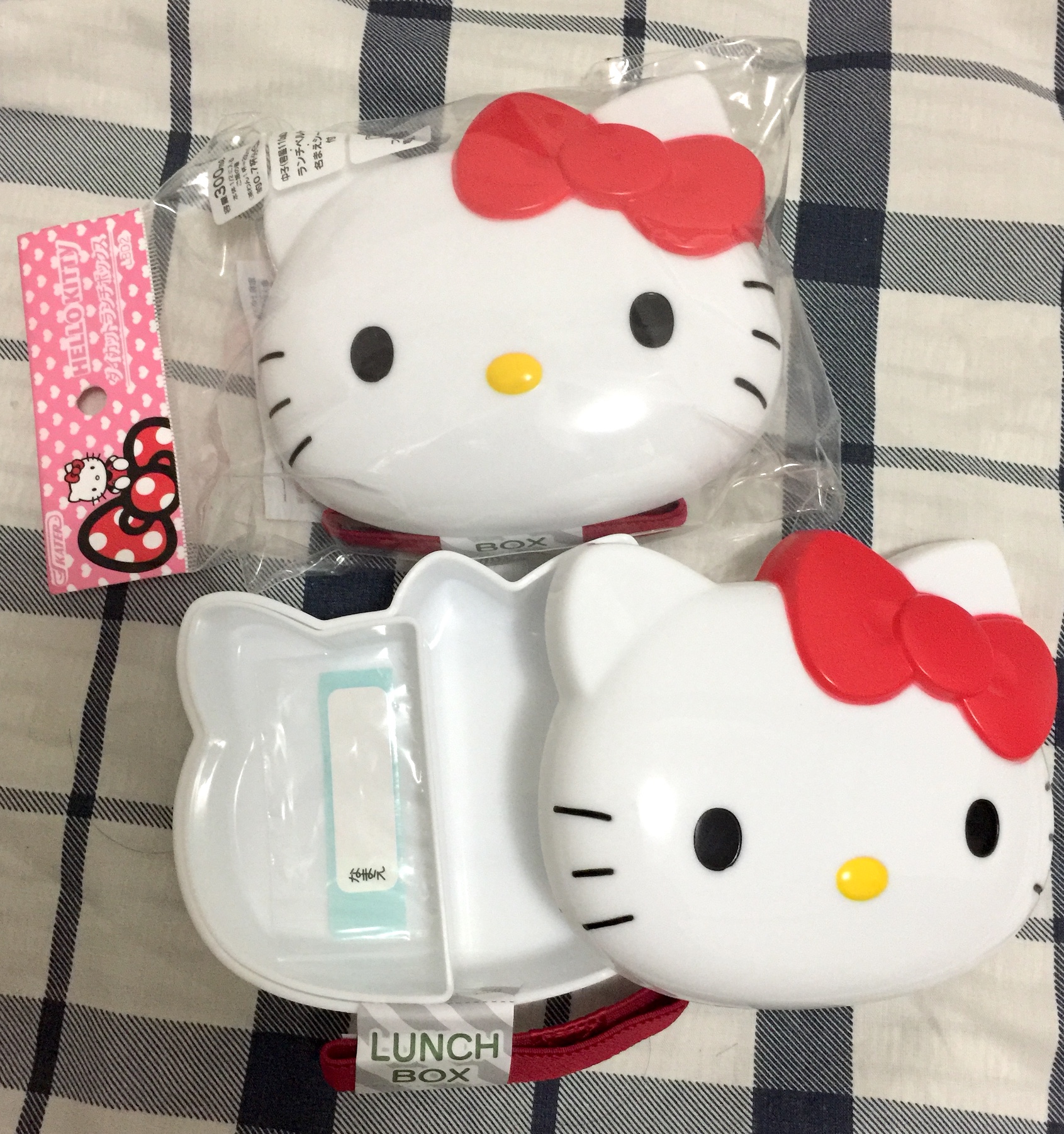 For My Friend's Birthday, A Hello Kitty Lunch Box! r/HelloKitty