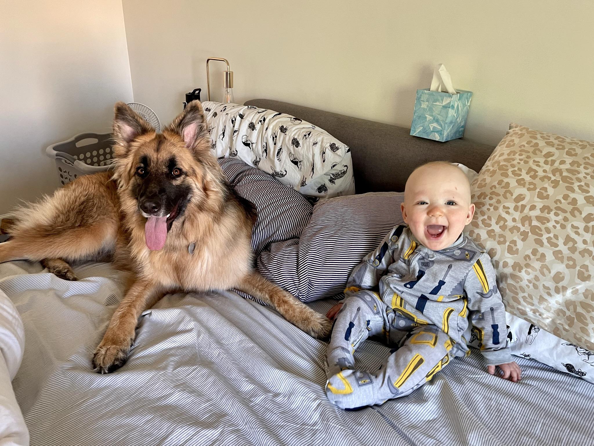 Are German Shepherds Good With Children