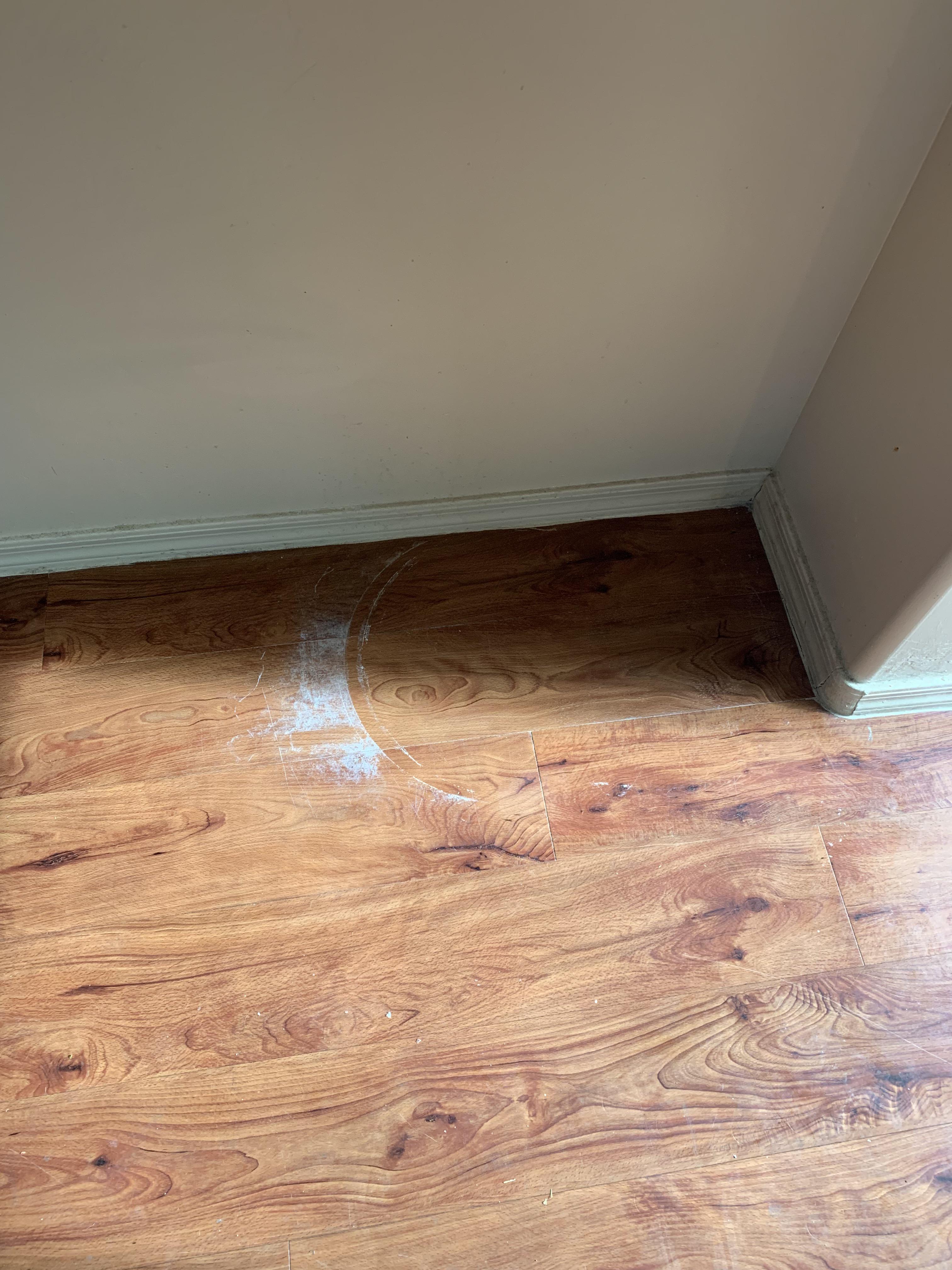 How do I repair this damaged vinyl flooring where a dog water bowl sat