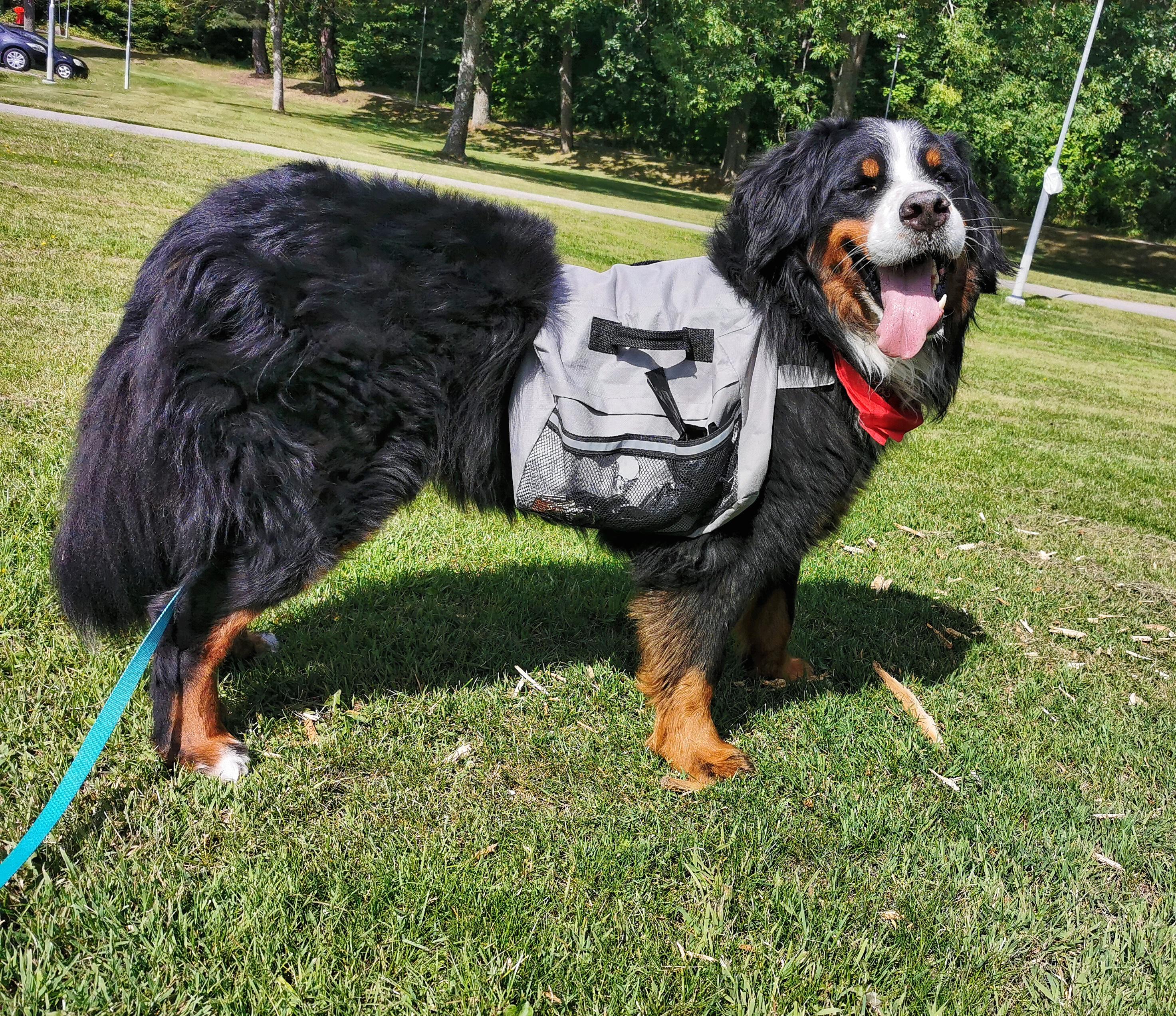 Anyone else have long distance hiking and backpack experience with