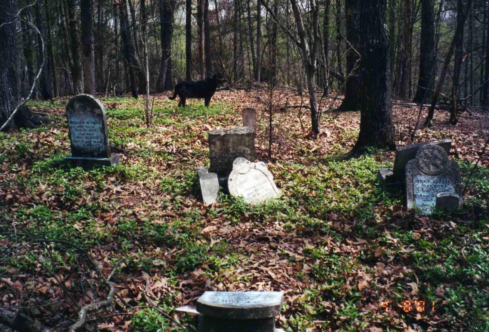 Abandoned Cemetery in Adairsville, (1704x1158) r/CemeteryPorn
