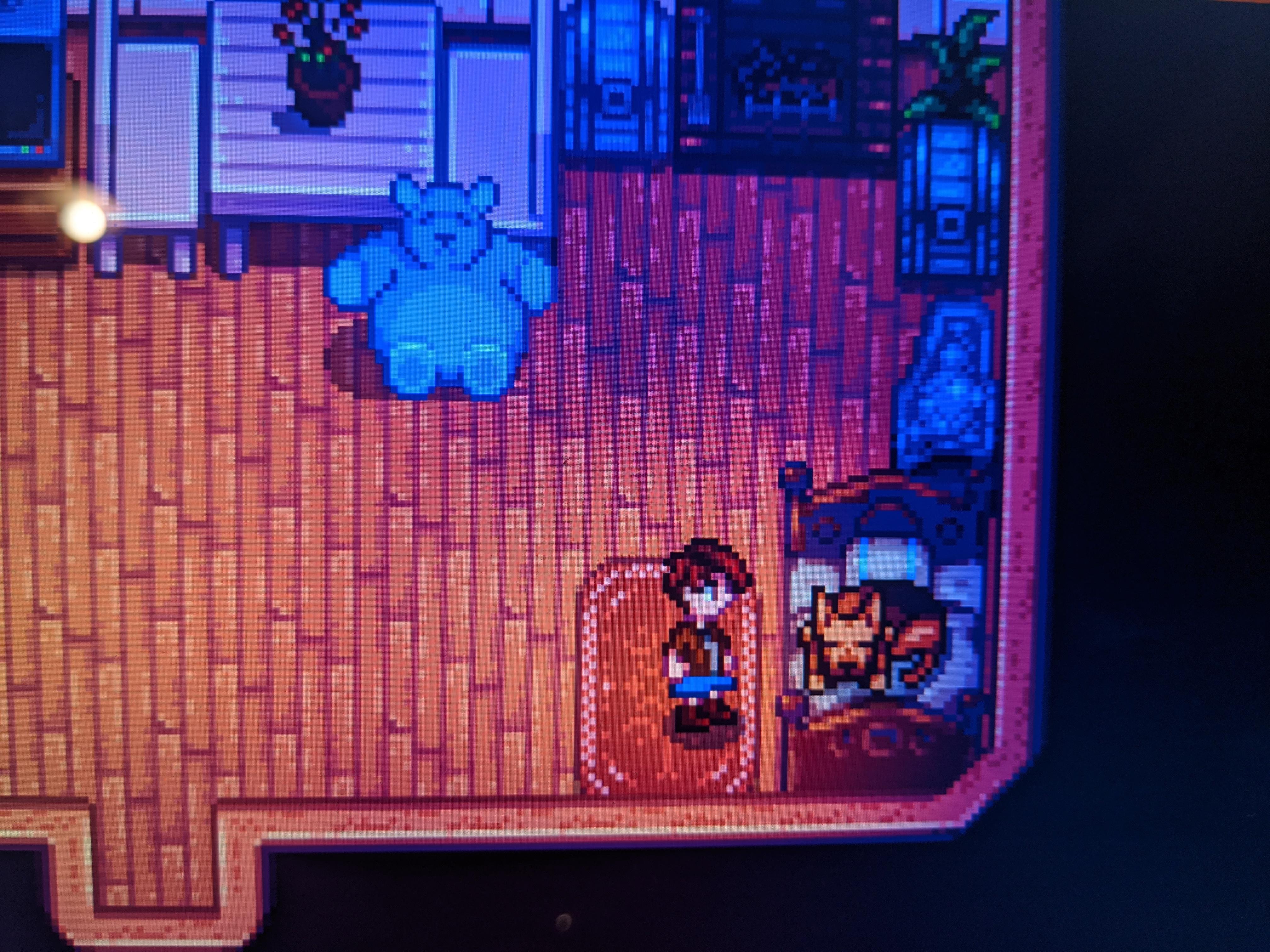 I've never seen the dog/cat sleeping on the bed before! Good thing I could still get in r