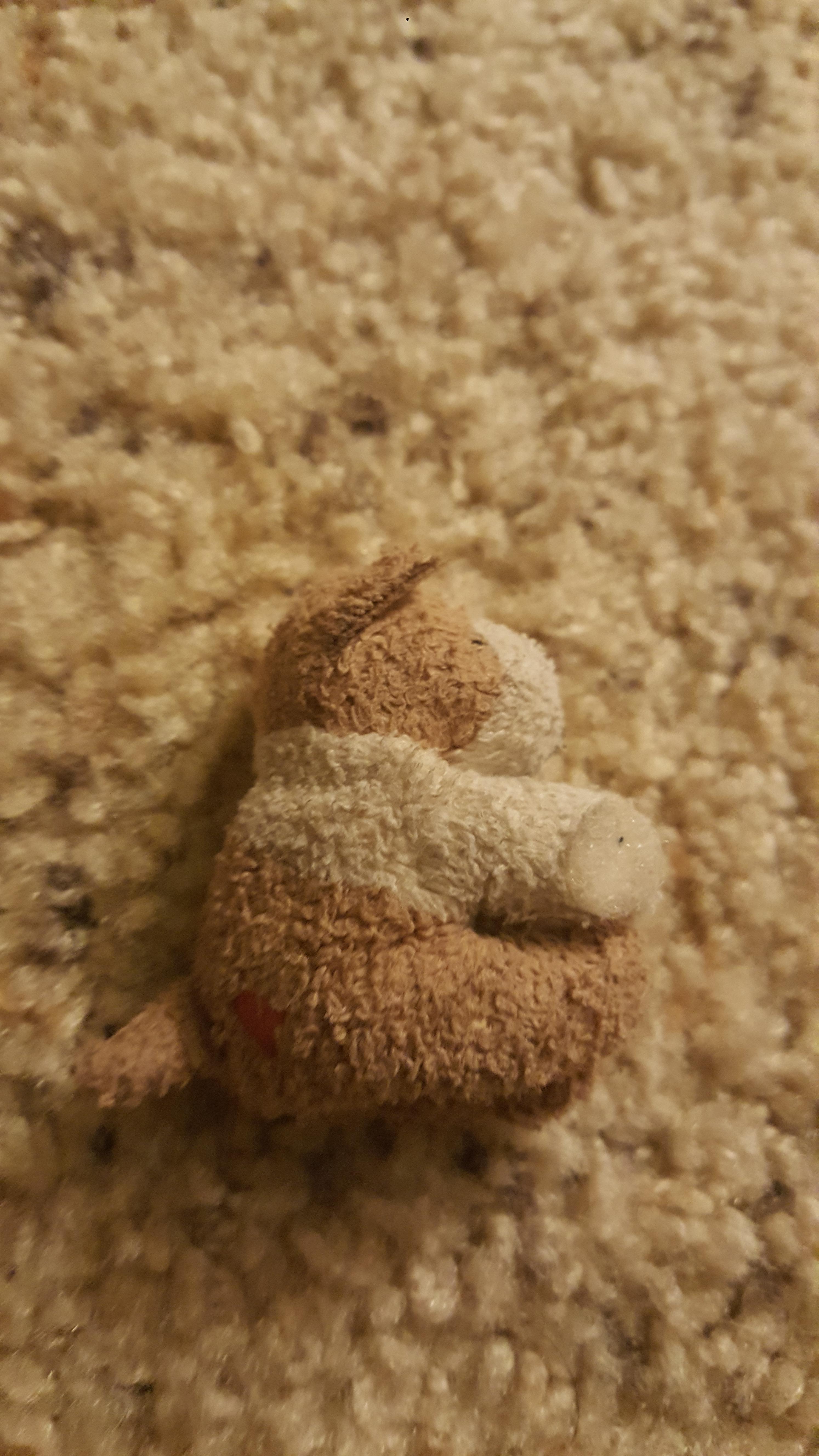 Who made this little beanbag dog i found at goodwill? r/HelpMeFind