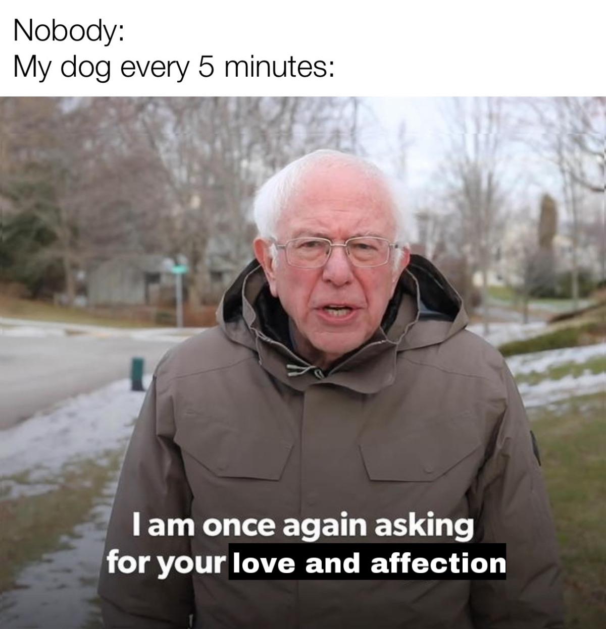 Bernie Sanders Is Once Again Asking You For Some Sweet Memes New