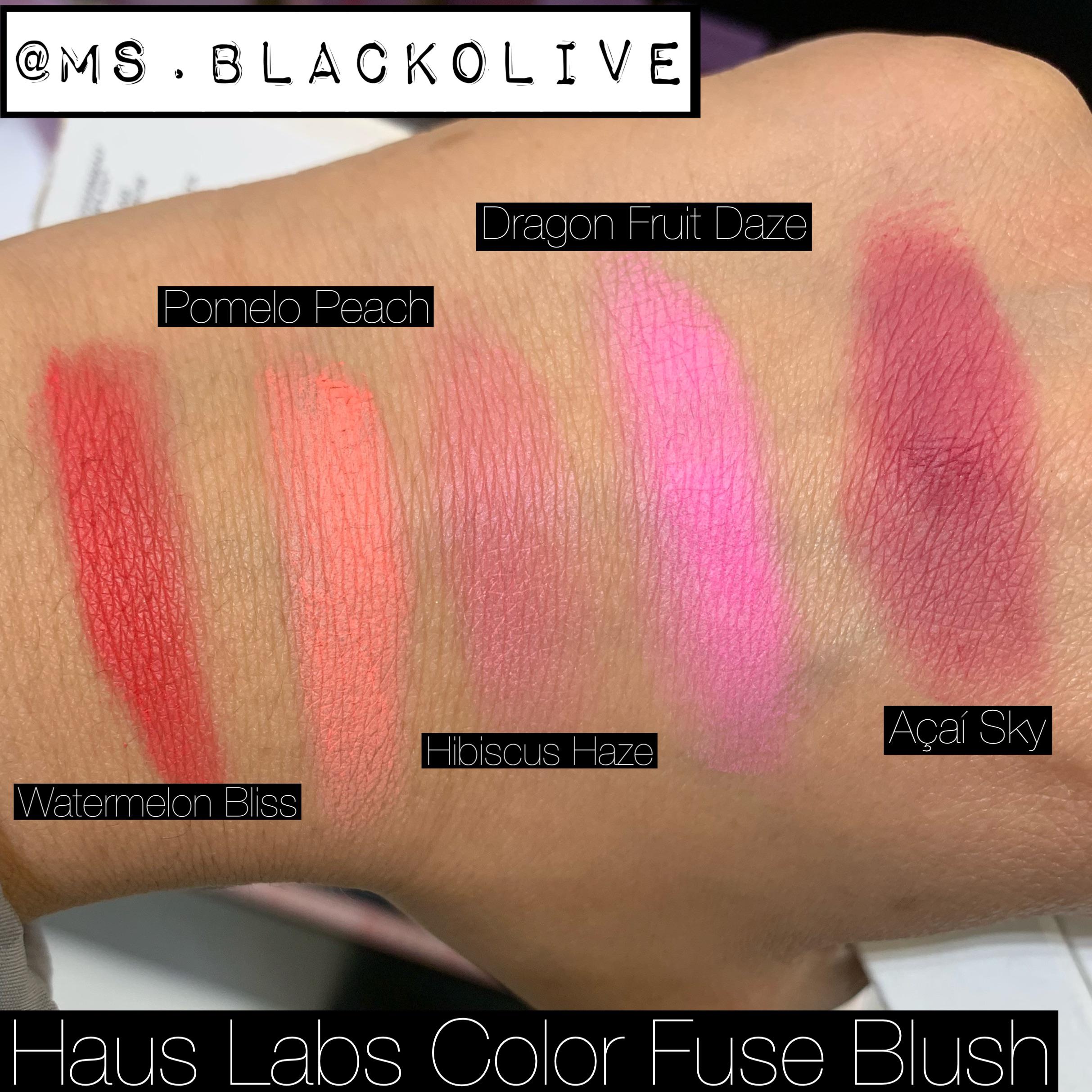 Haus Labs Color Fuse Blush Swatches r/DarkOlive