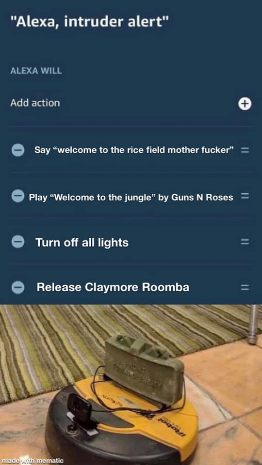 "Alexa! Intruder alert!" amazonecho