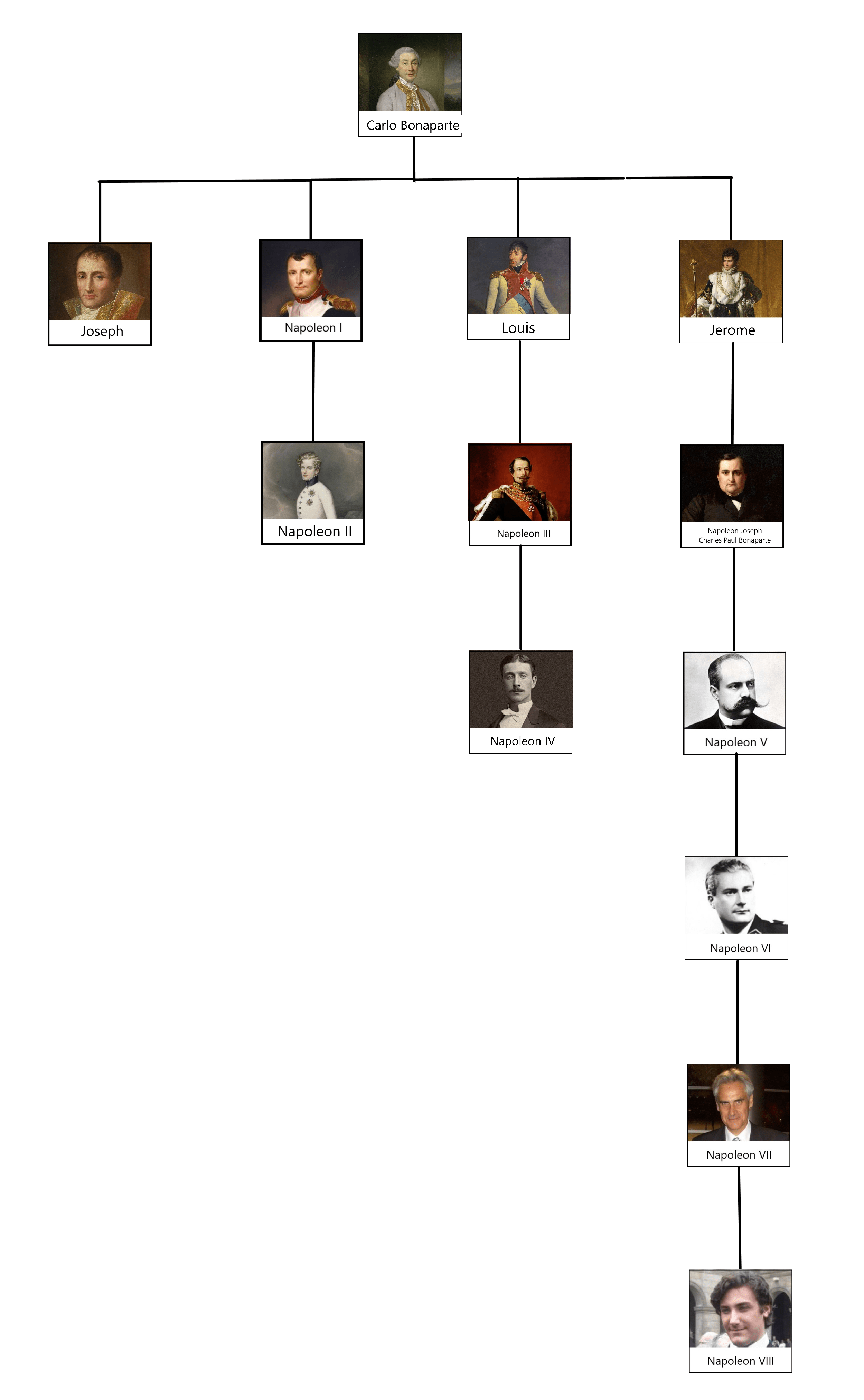 Bonaparte Family Tree r/BillyBuchalski