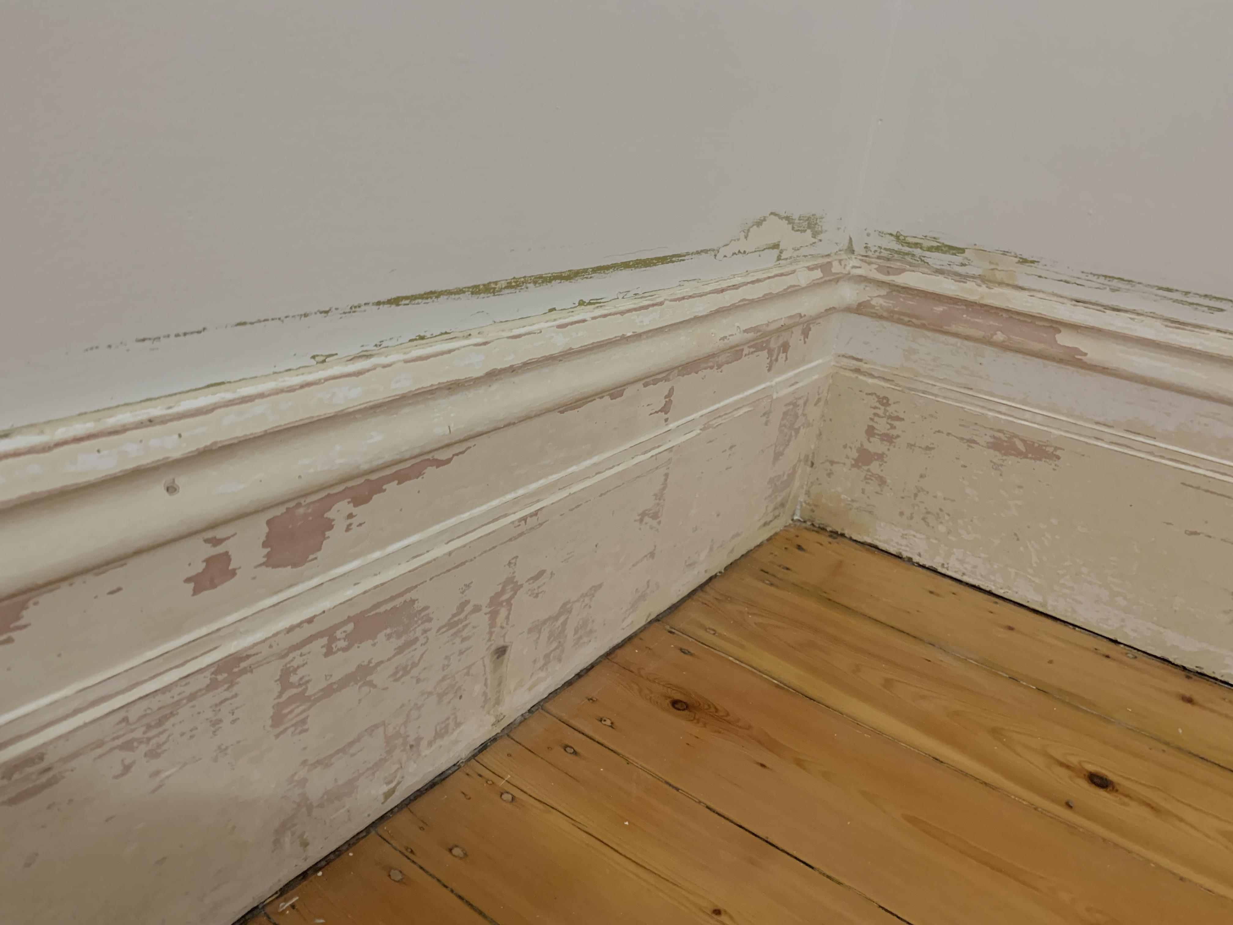 Gloss White Trim Paint r/AusRenovation