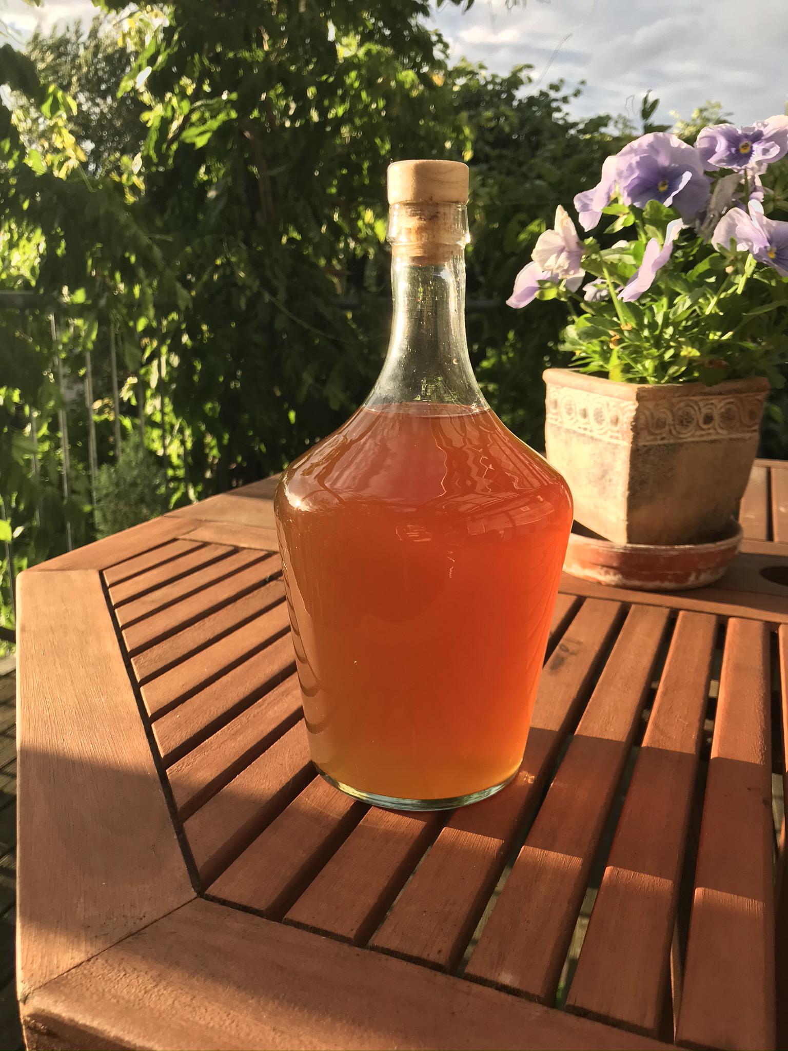 Selfmade elderflower liqueur r/cocktails