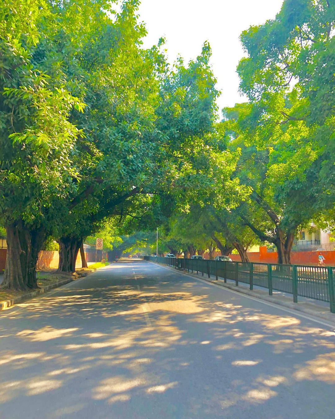Clean and green chandigarh r/IndiaSpeaks
