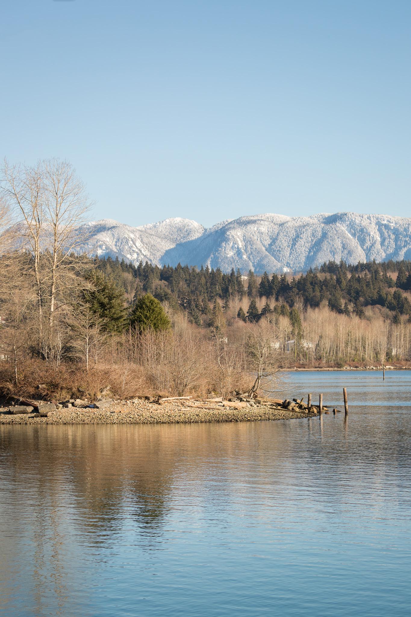 Maple Wood Flats [North Vancouver] r/vancouver