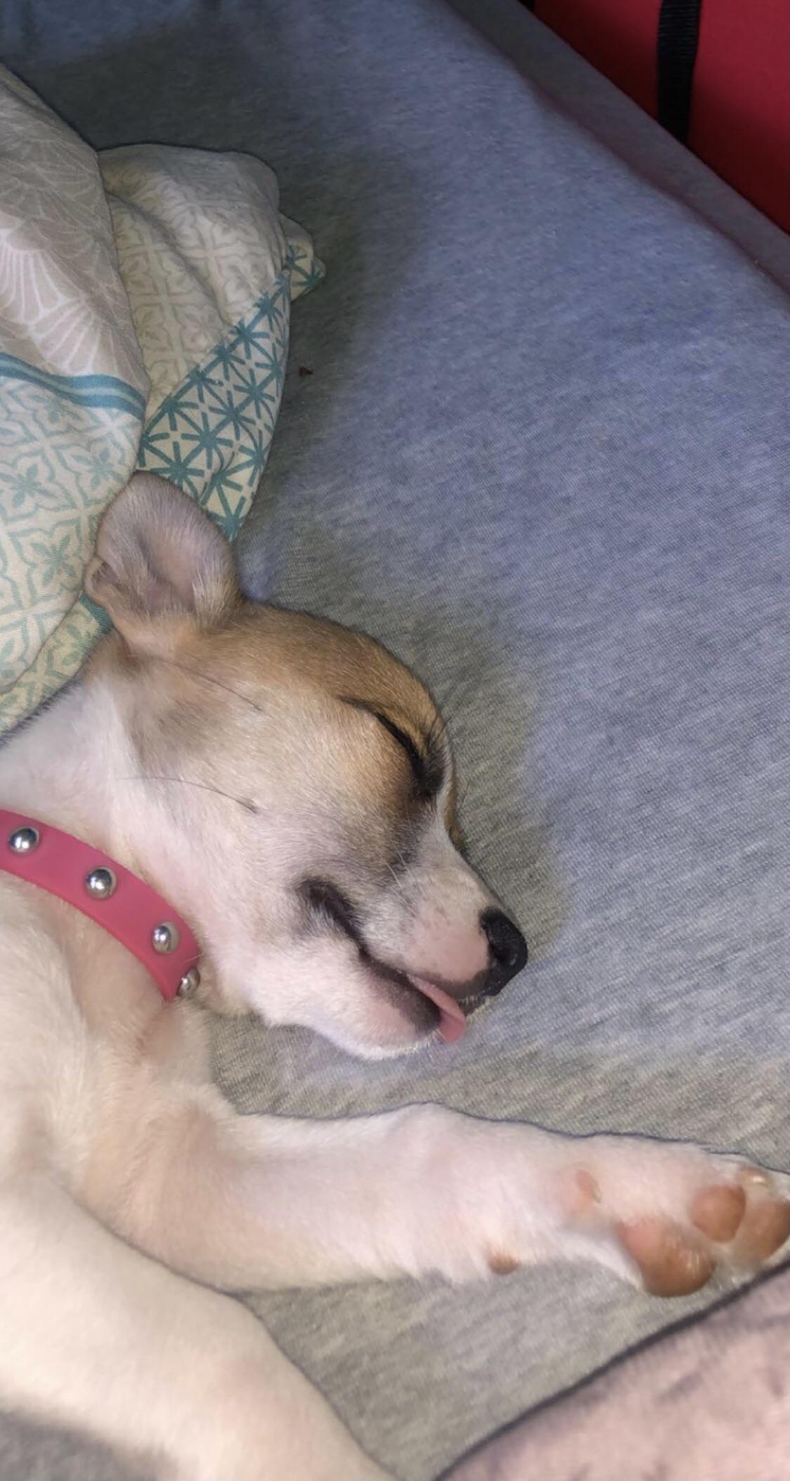 Turned over and saw her sleeping with her tongue out, then she started