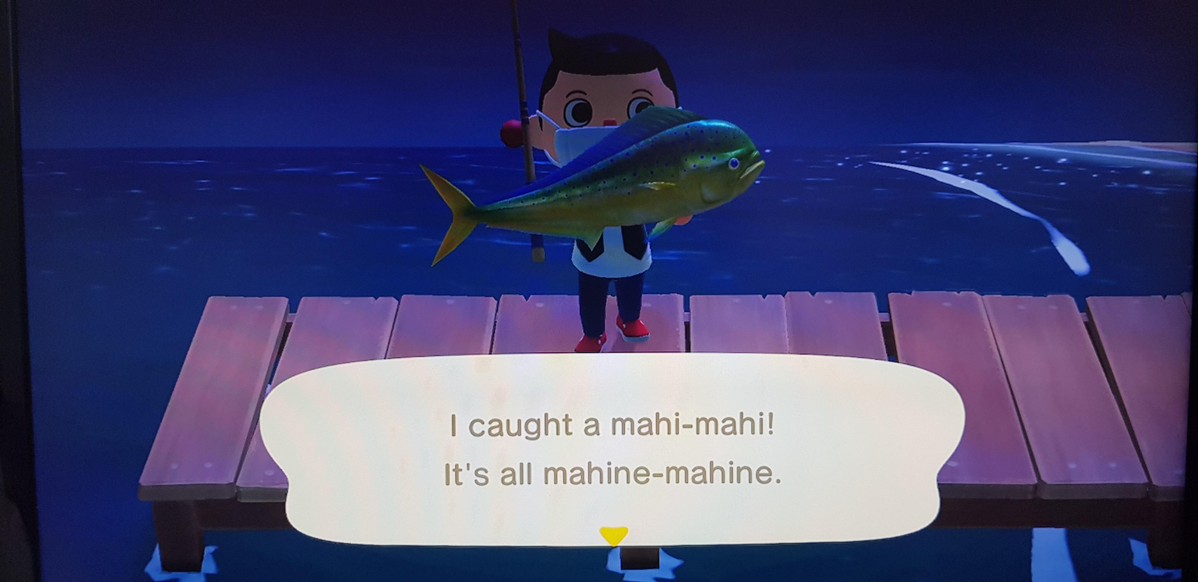 I used more than 400 fish bait to catch this basterd. Mahimahi! r