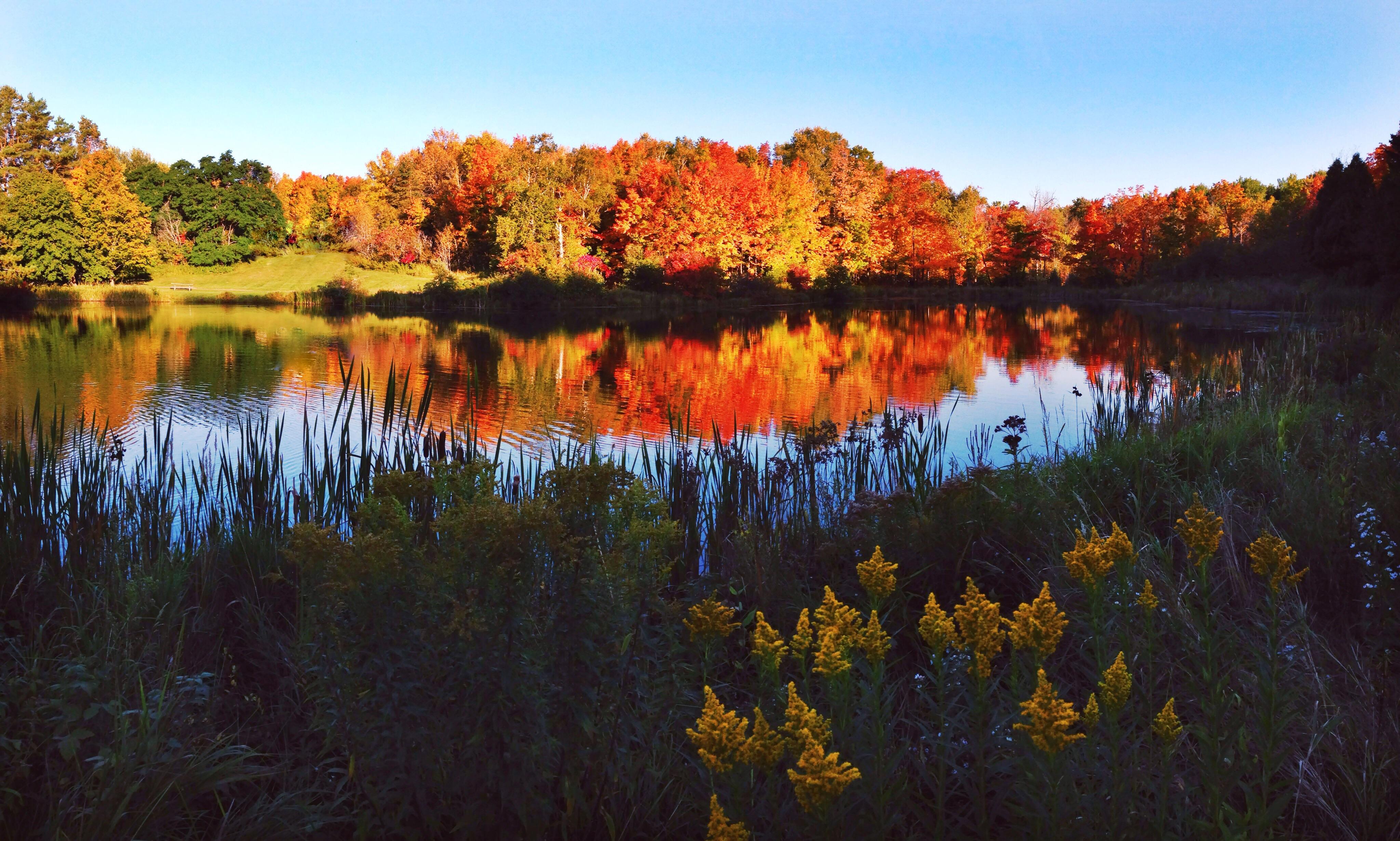 Hartley Park Duluth, Minnesota [3264x2448] r/EarthPorn