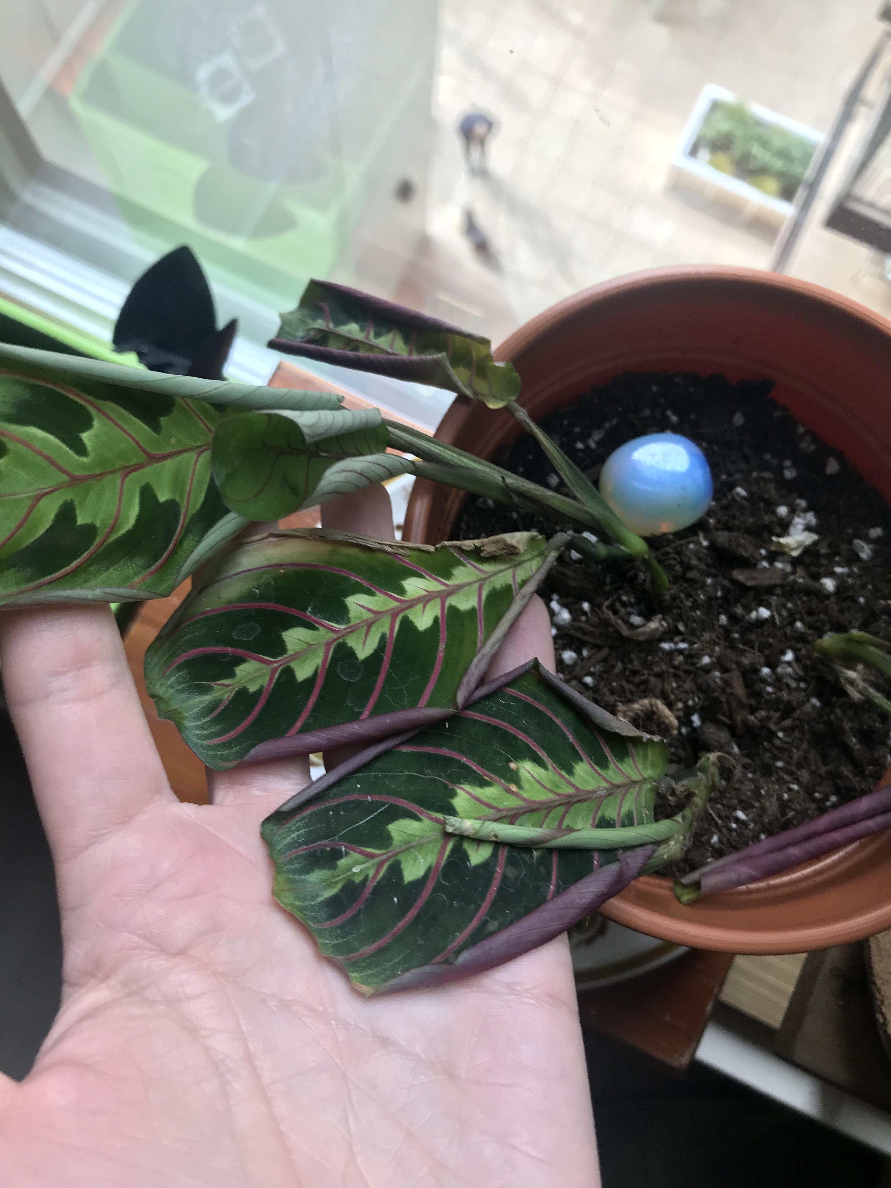 Can anyone drop any insight on what might be happening with my prayer