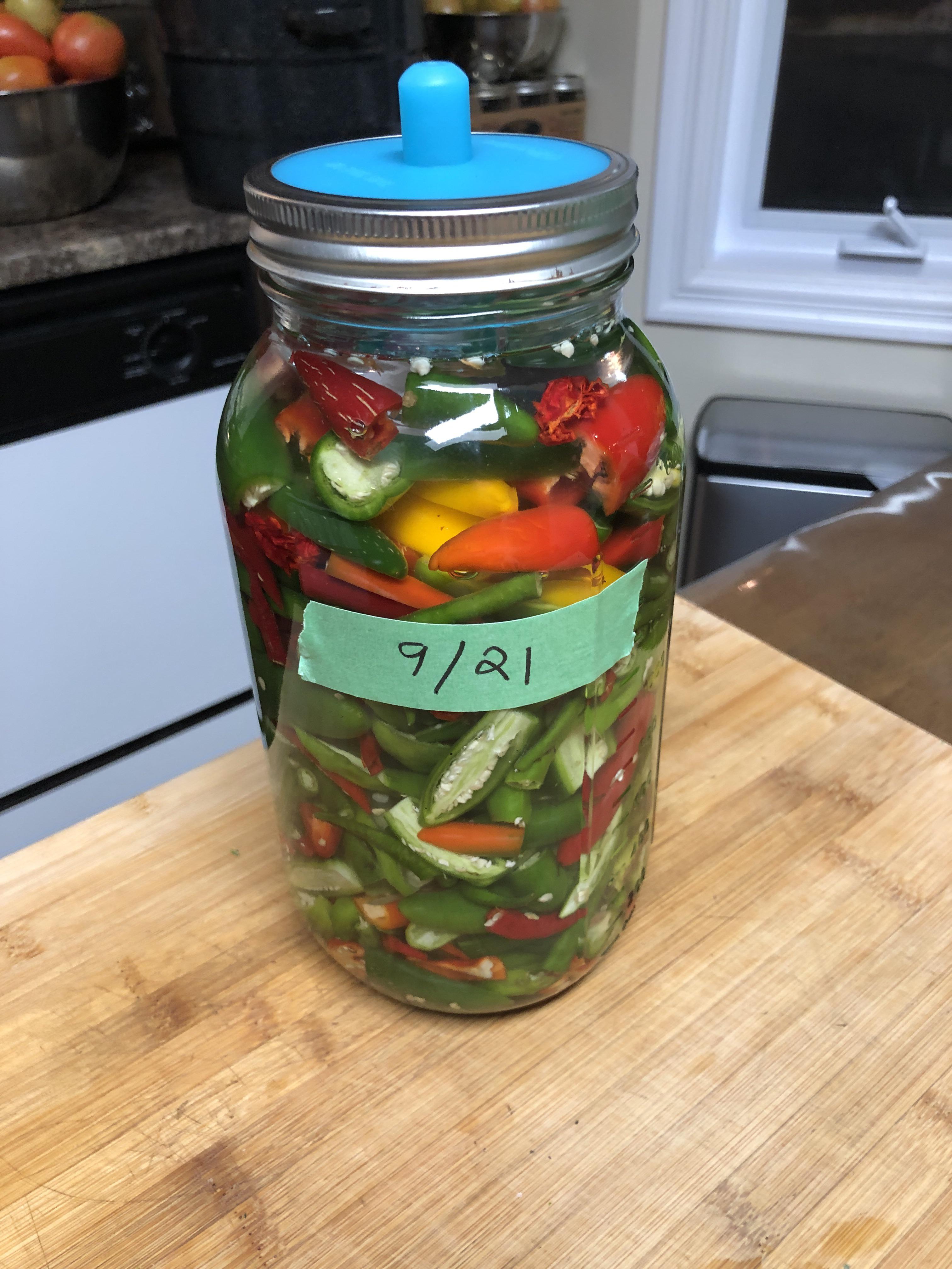 Beginning the ferment of our homegrown peppers for hot sauce. Are you