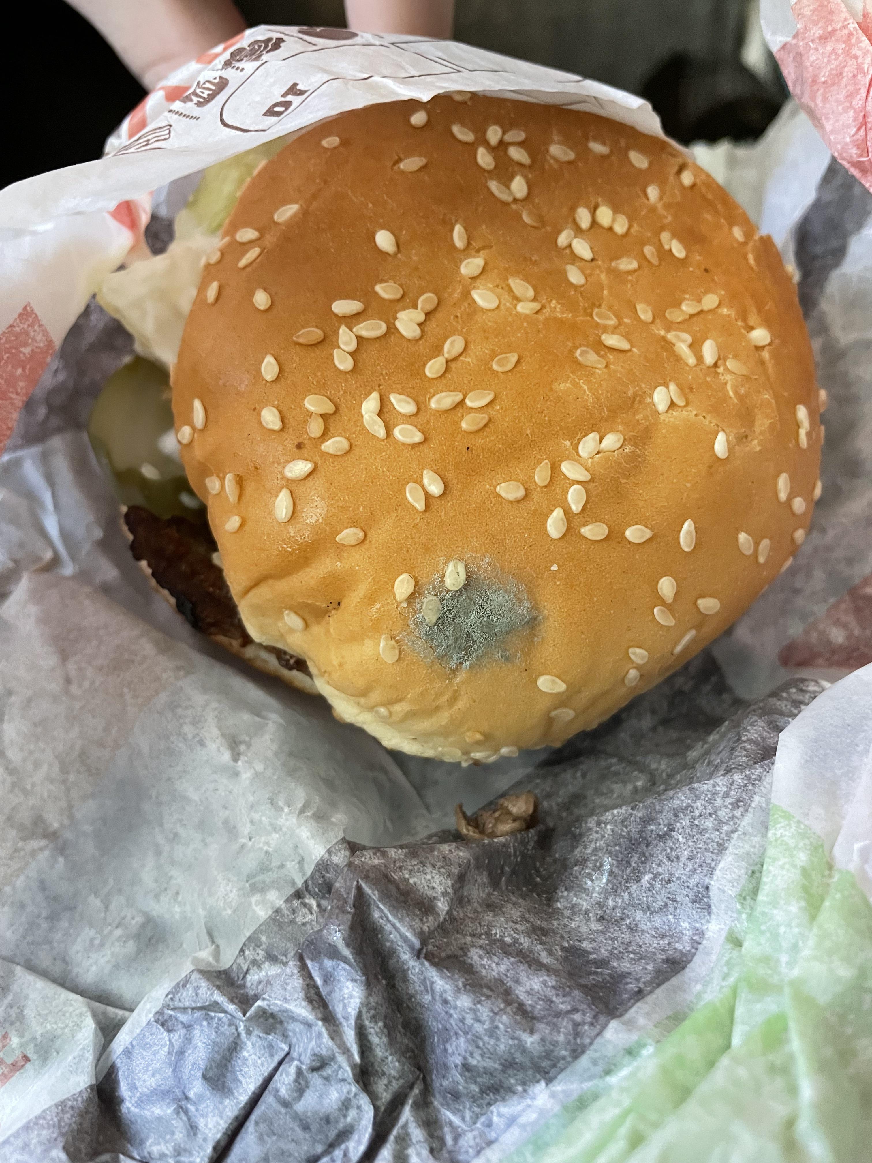 My whopper jr from burger king this morning r/mildlyinfuriating