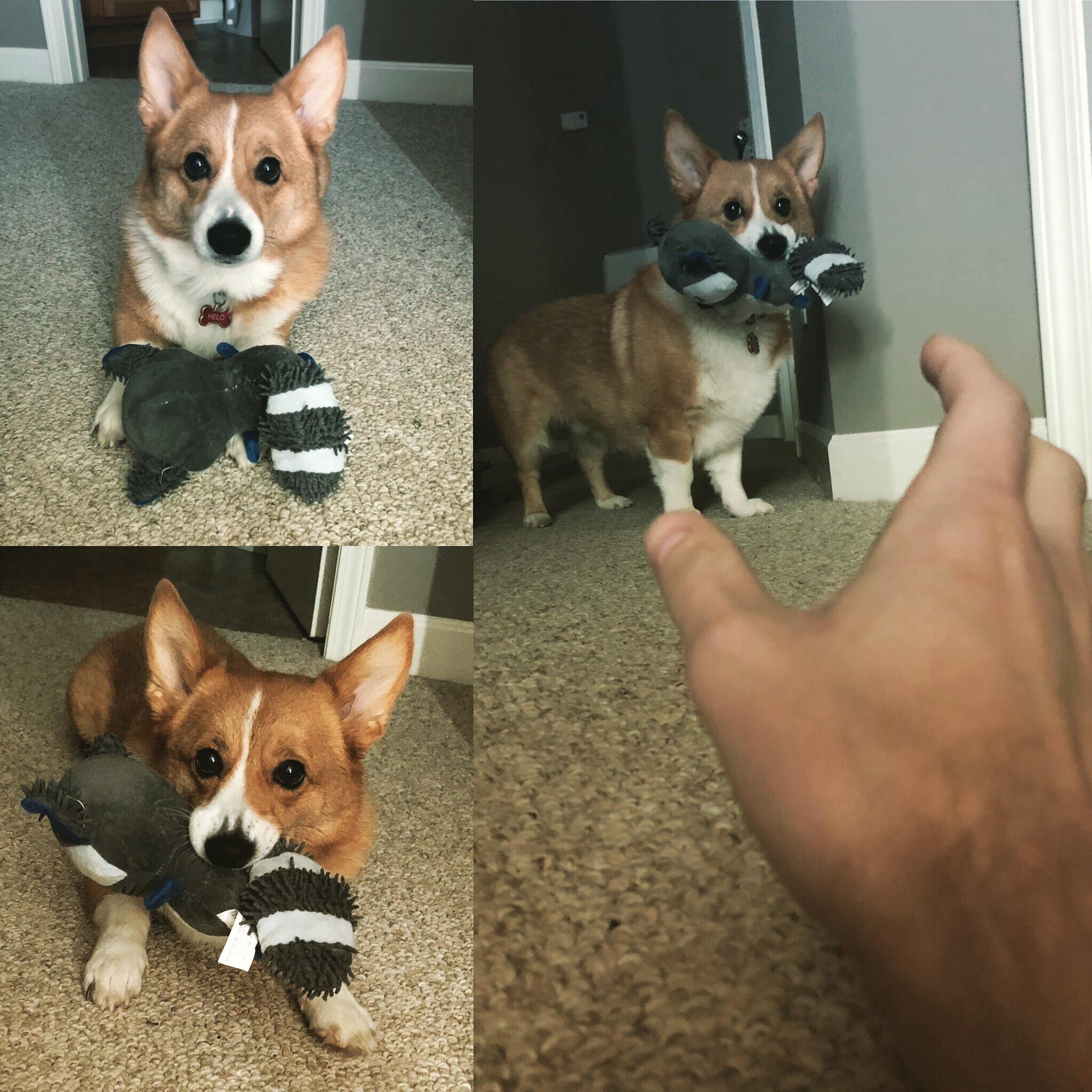 “Let’s play with this toy. No, wait! Don’t grab my toy!” What does he want from me?!