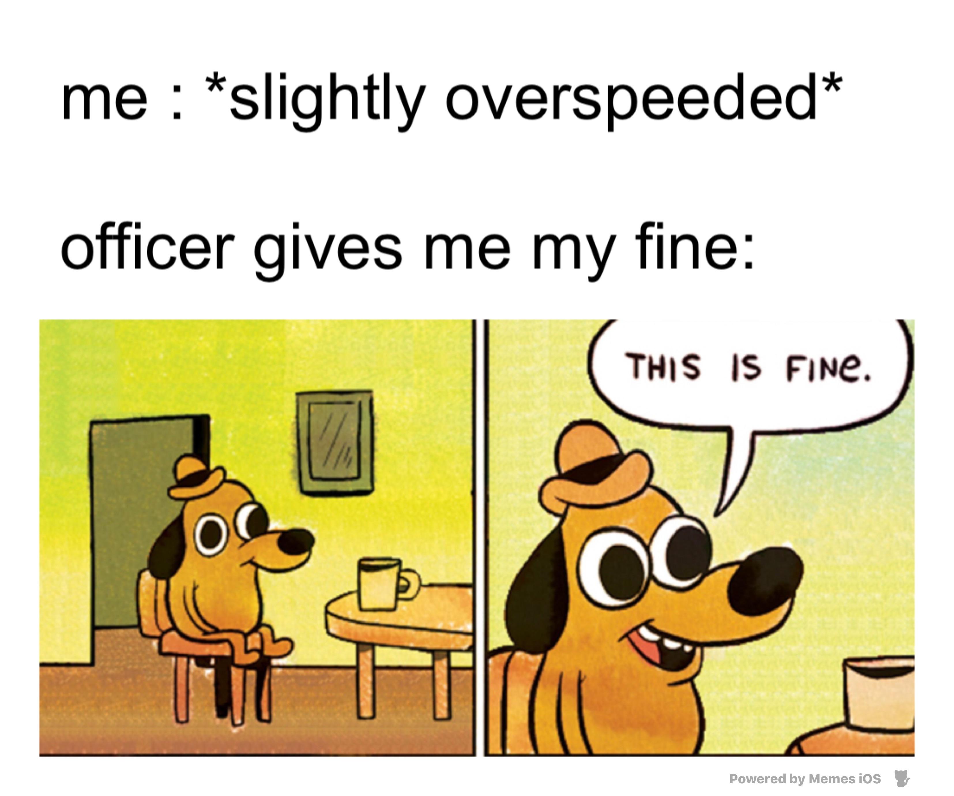 fine time fine moment antimeme