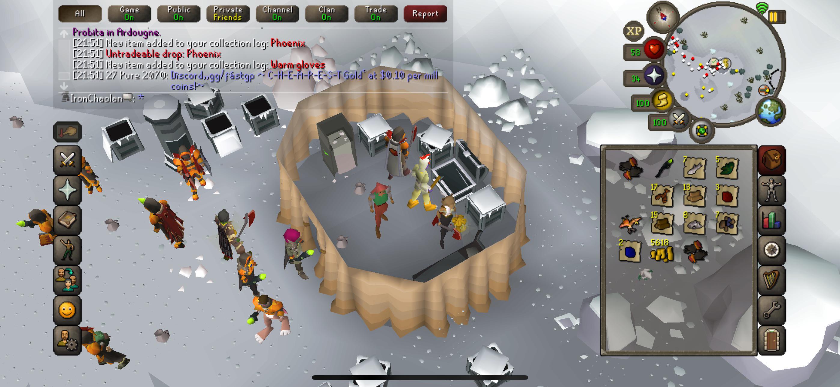 OSRS IRONMAN PHOENIX PET (66 KC) r/2007scape