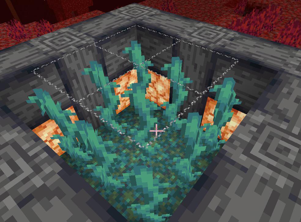 My design for a fall damage canceller for the nether. The vines can be